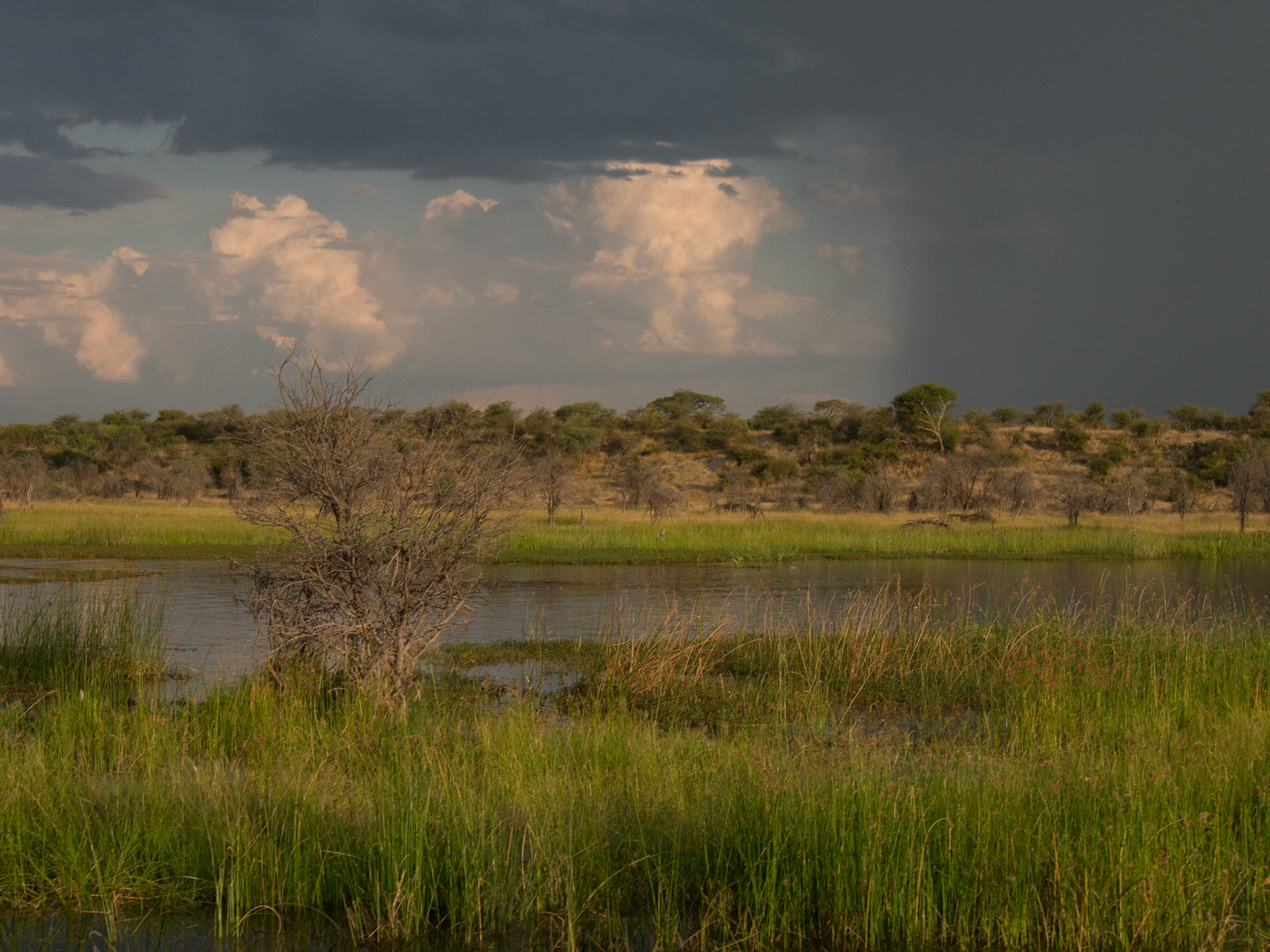 , North West, Botswana [Apr 2014]