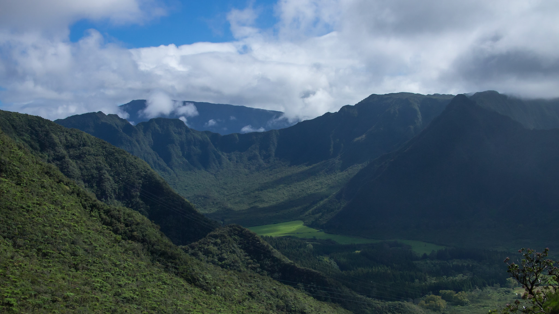 La Plaine-des-Palmistes, Saint-Benoit, Réunion [Apr 2017]