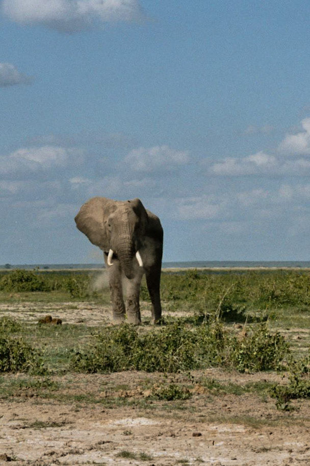 Entonet, Kajiado, Kenya [Dec 2004]