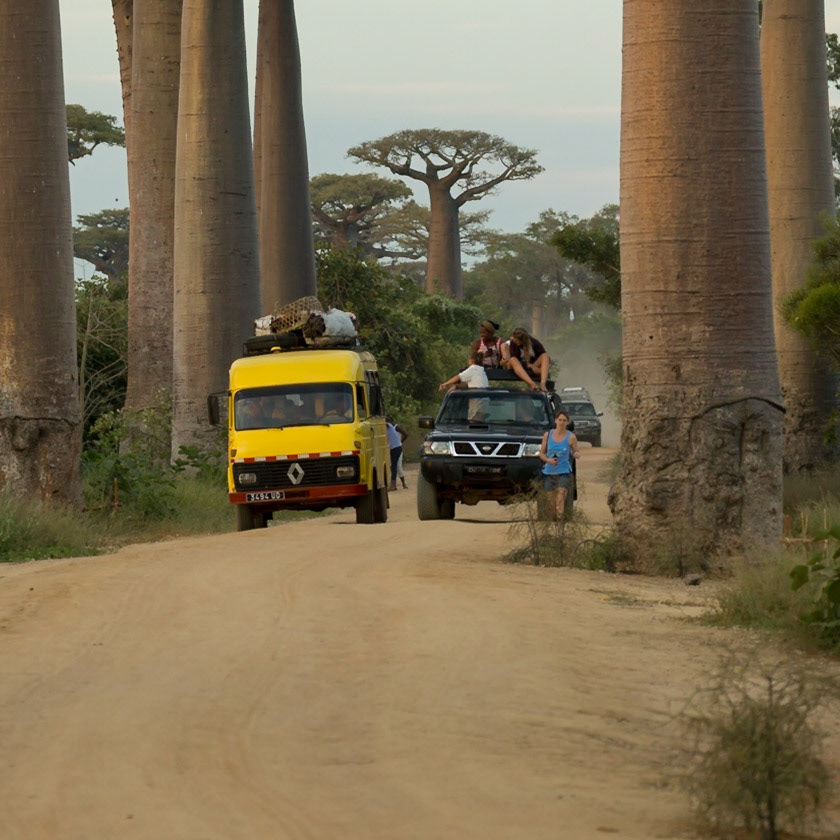 Morondava, Menabe, Madagascar [Apr 2019]