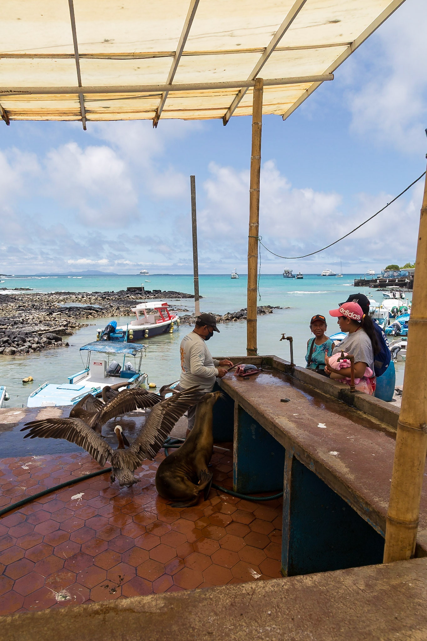 Santa Cruz Canton, Galápagos, Ecuador [Apr 2022]