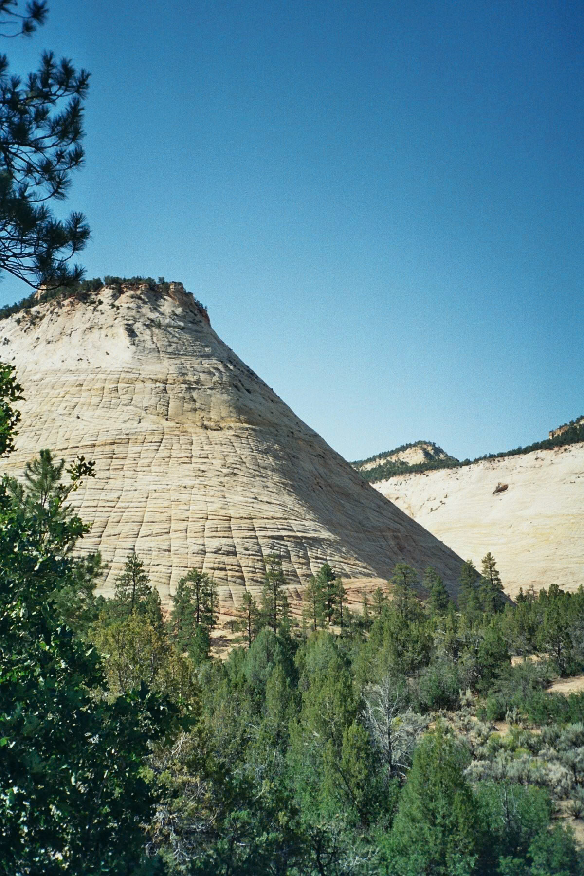 Springdale, Utah, United States [Aug 2008]