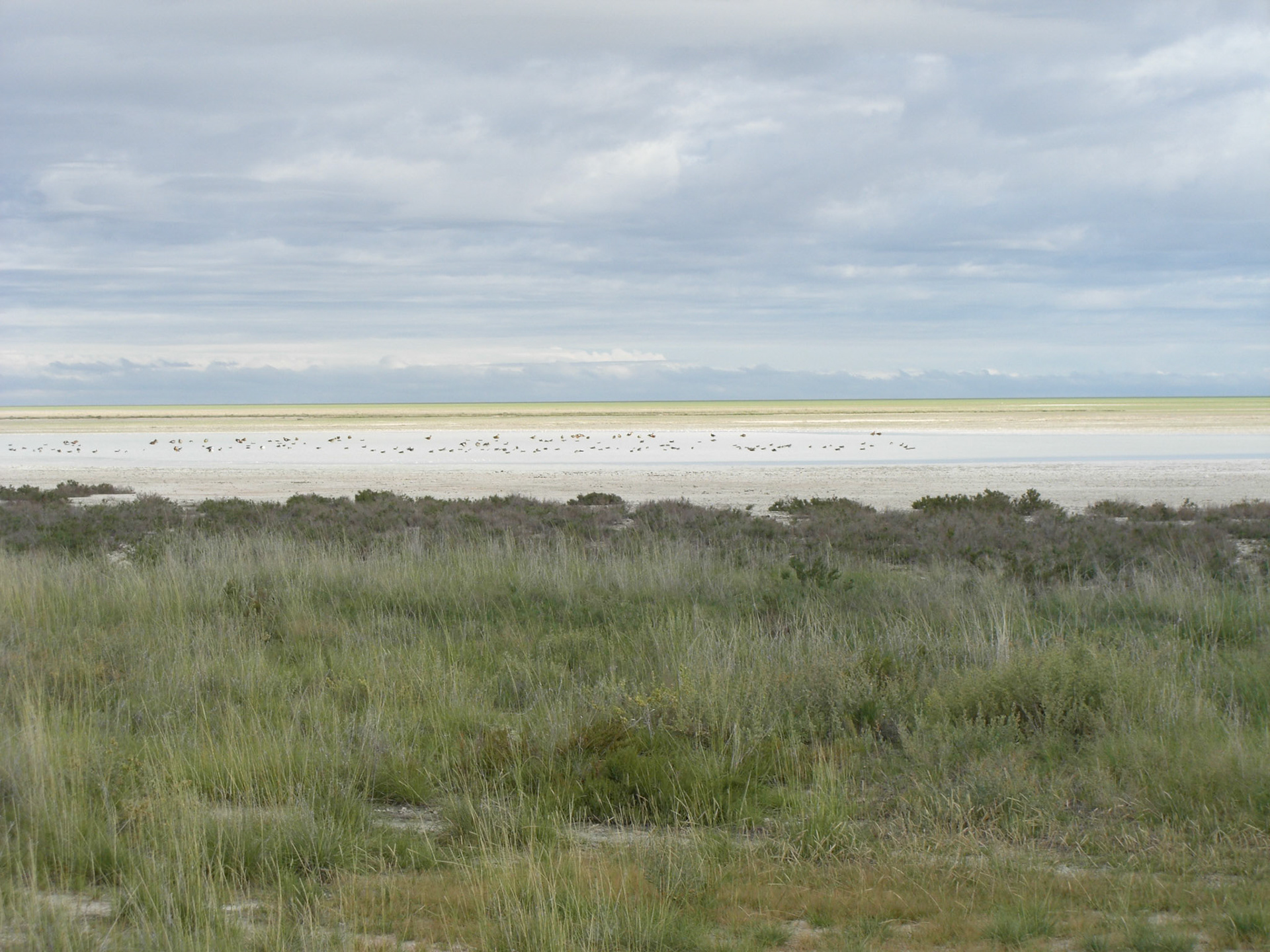 , Oshikoto, Namibia [Mar 2010]