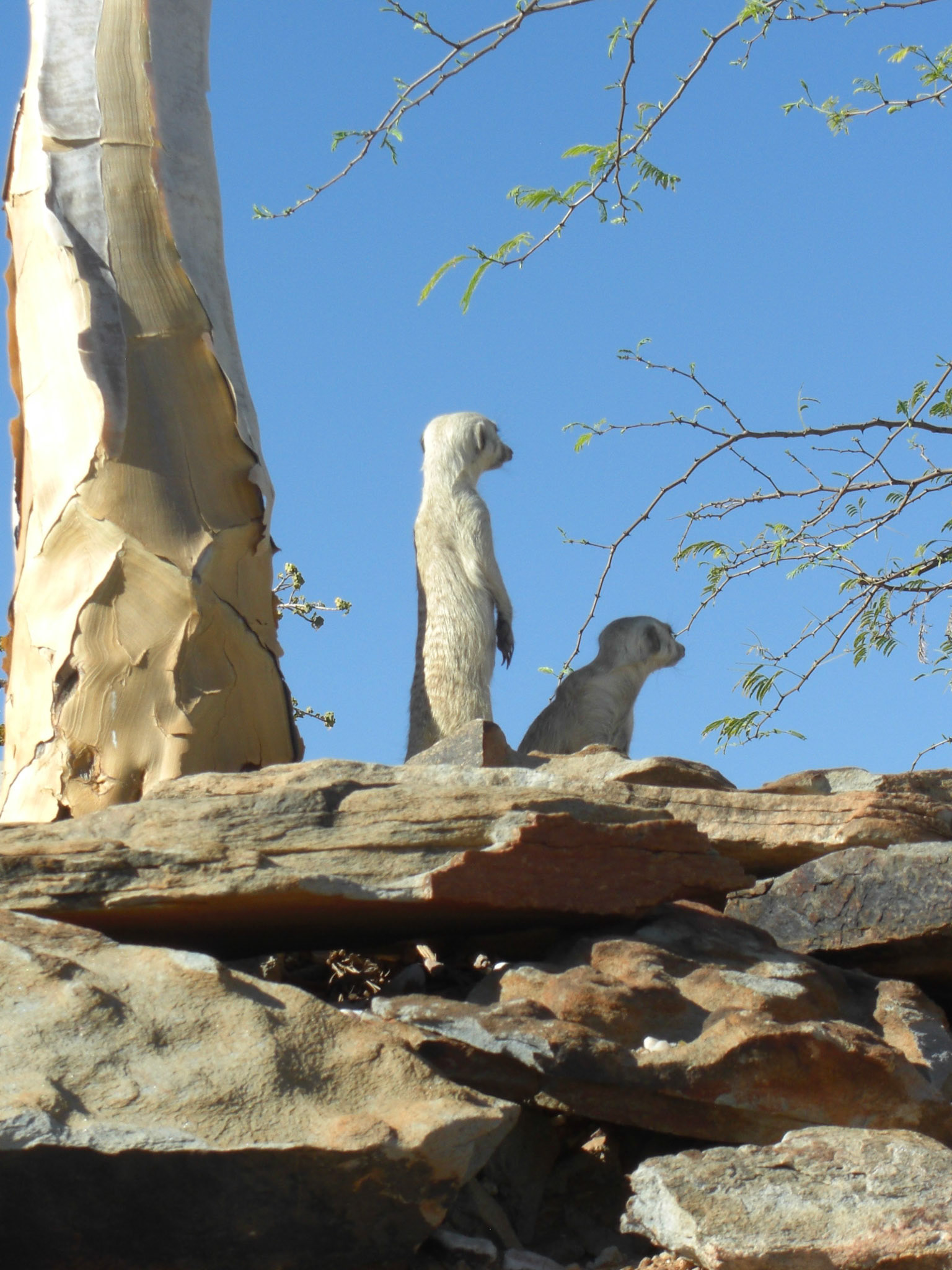 , Khomas, Namibia [Apr 2010]