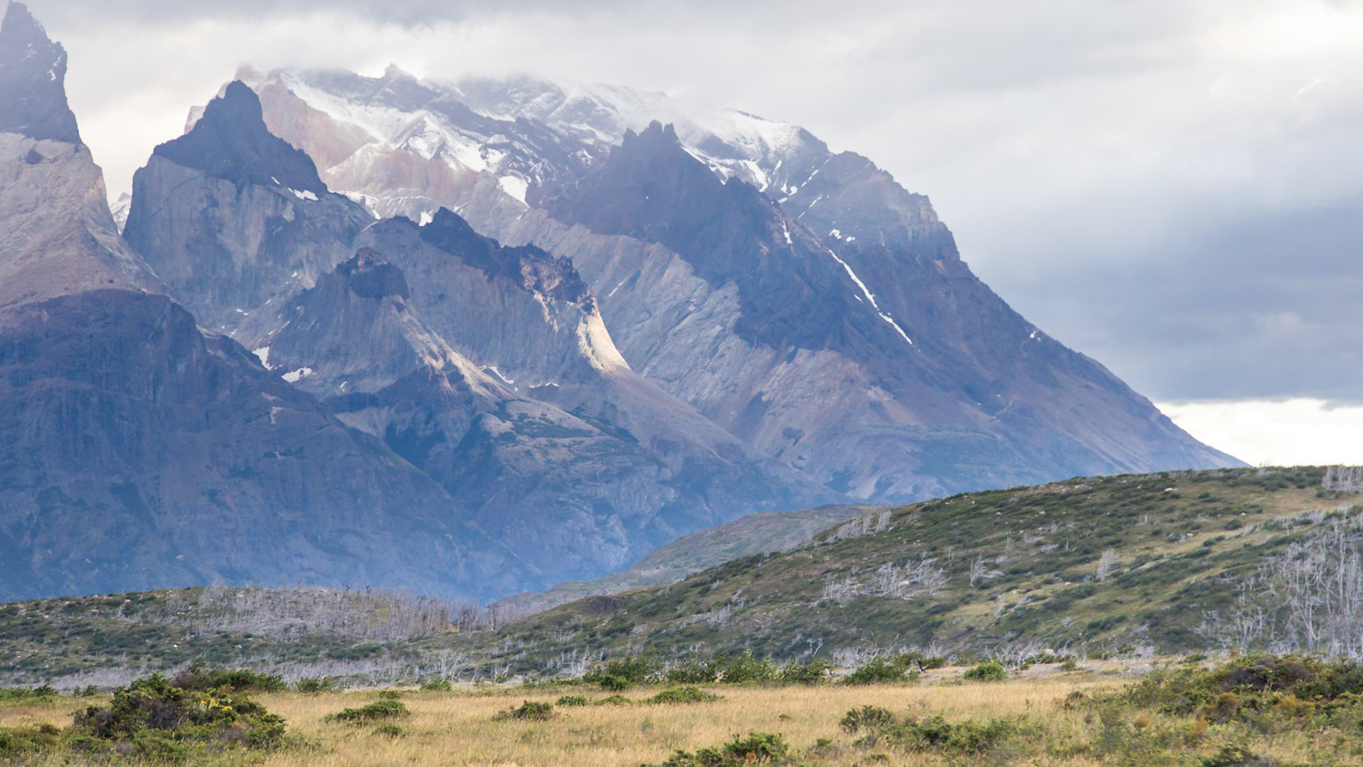 Torres del Paine, Magellan and the Chilean Antarctic, Chile [Jan 2024]