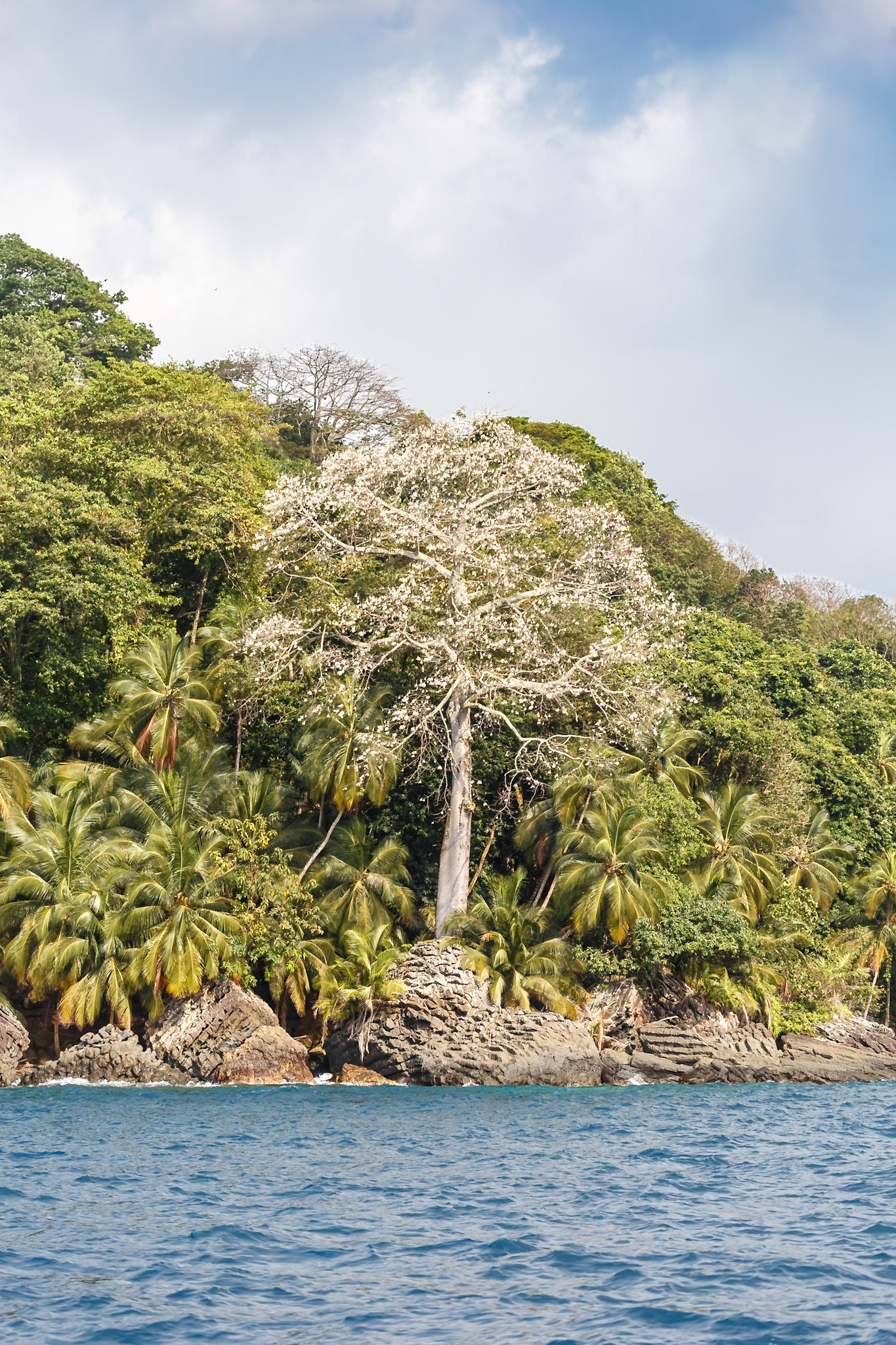 , Pagué, São Tomé and Príncipe [Feb 2026]