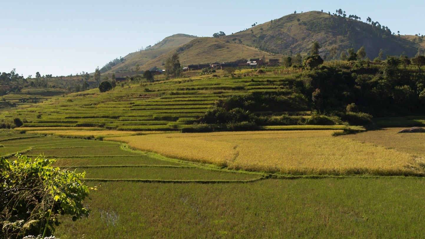 Talata Ampano, Vohibato , Madagascar [Apr 2019]