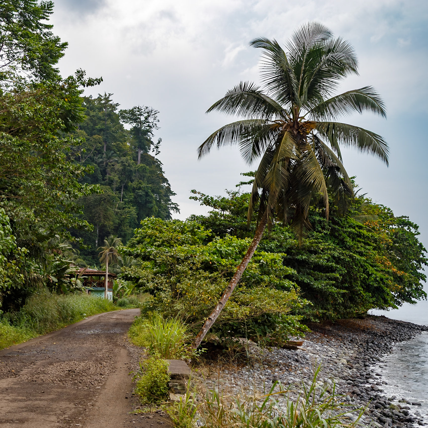 Santa Catarina, Lembá, São Tomé and Príncipe [Jan 2026]