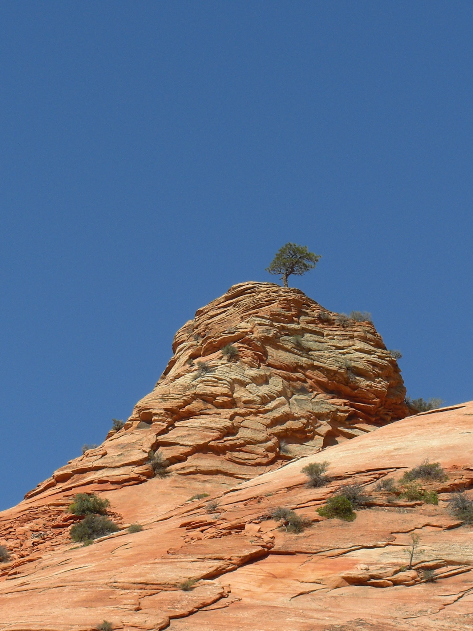 Springdale, Utah, United States [Aug 2008]