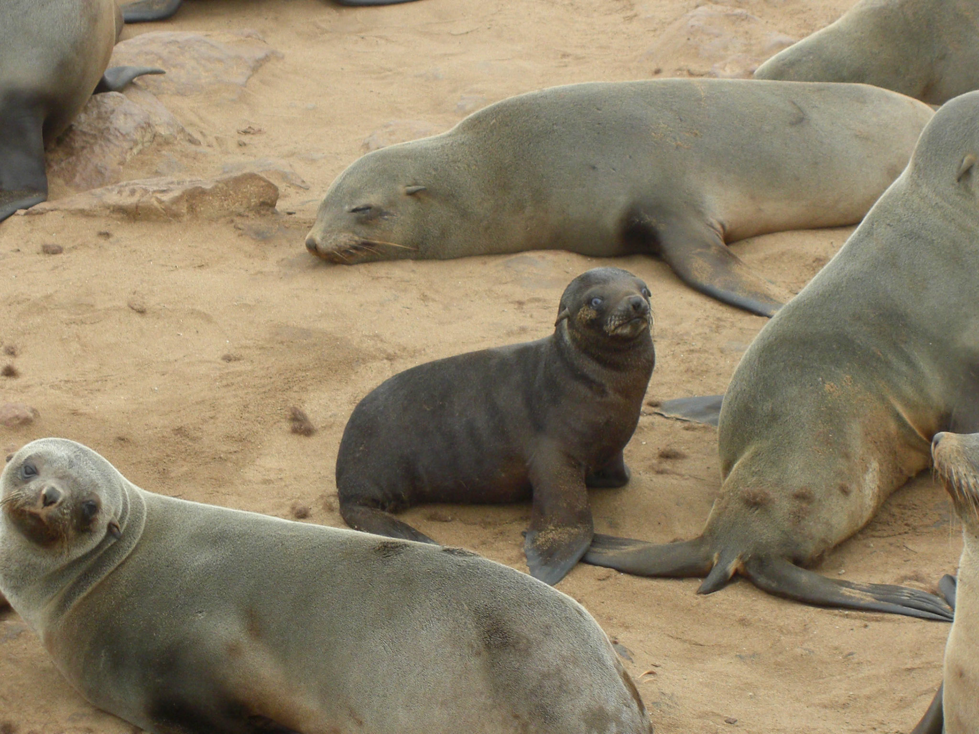 , Erongo, Namibia [Apr 2010]