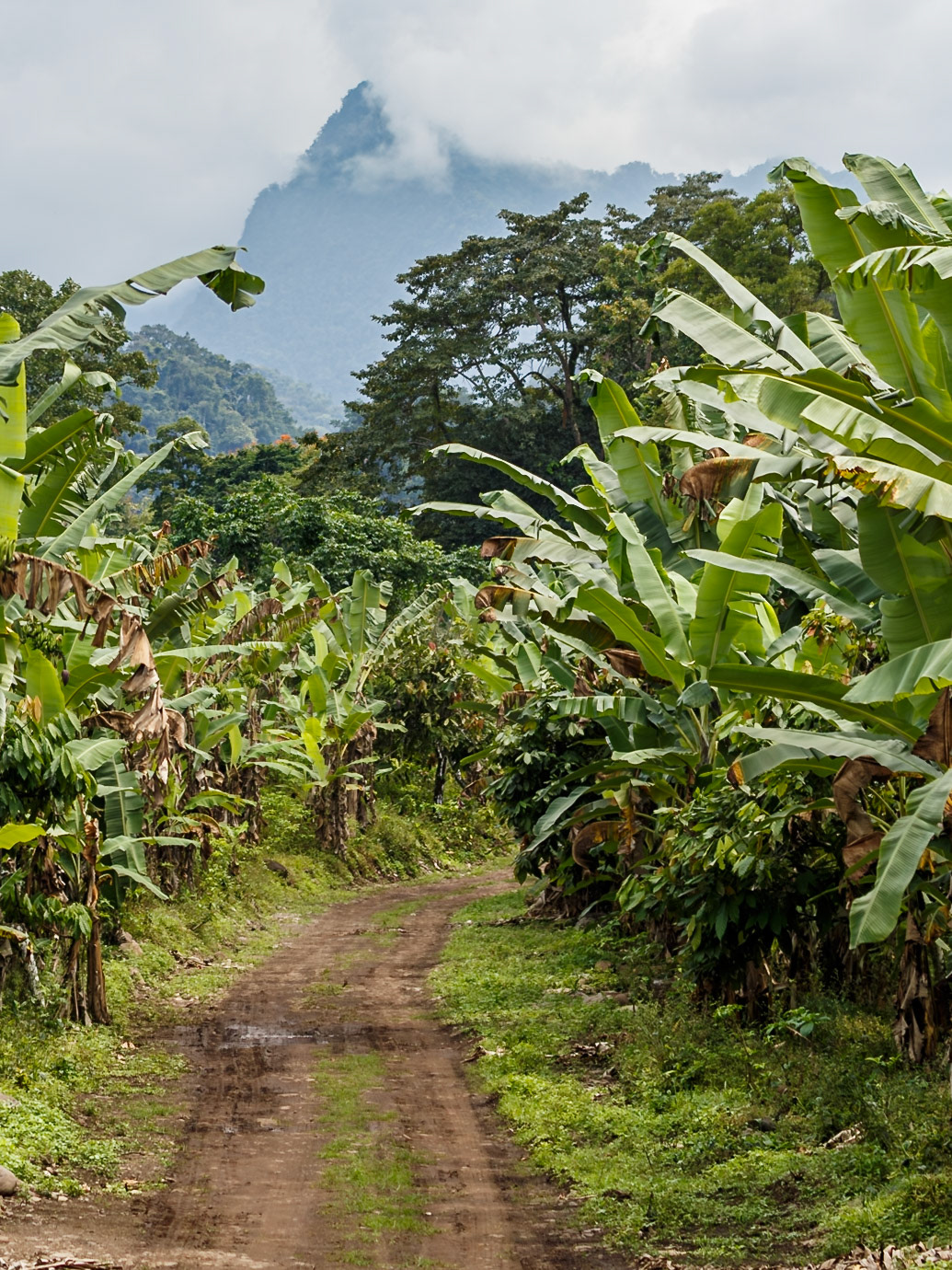 , Lembá, São Tomé and Príncipe [Jan 2026]