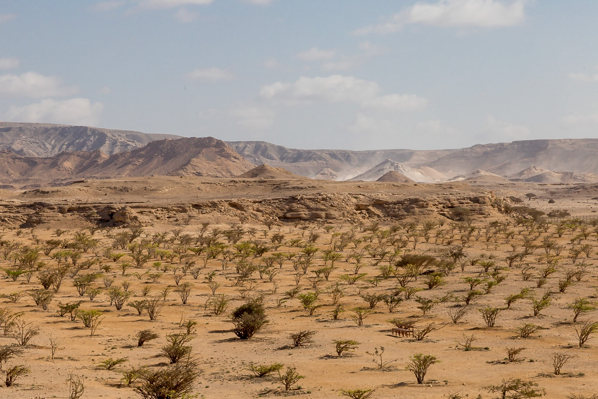 Thumrait, Dhofar Governorate, Oman [Mar 2018]