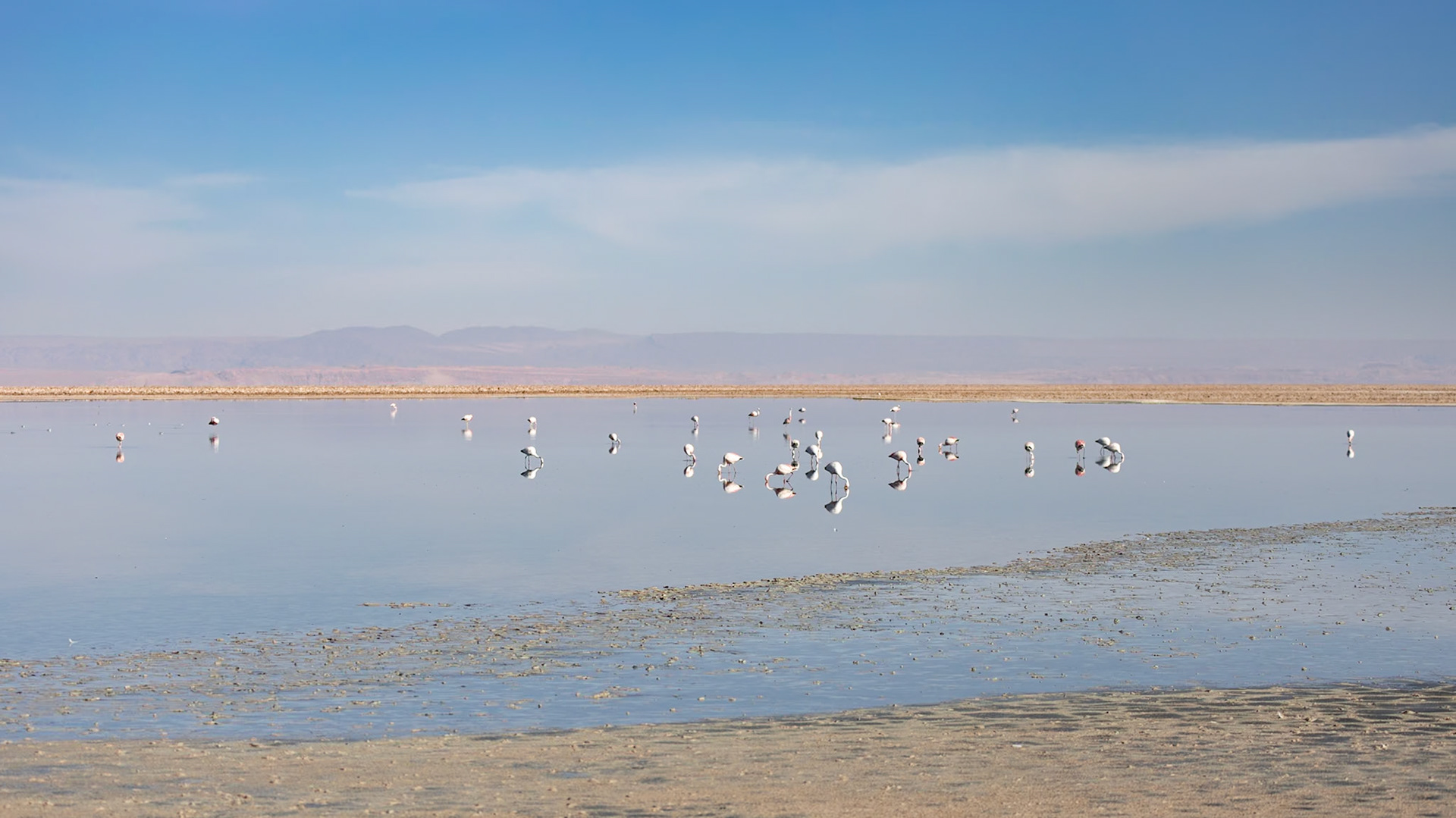 San Pedro de Atacama, Antofagasta, Chile [Jan 2024]