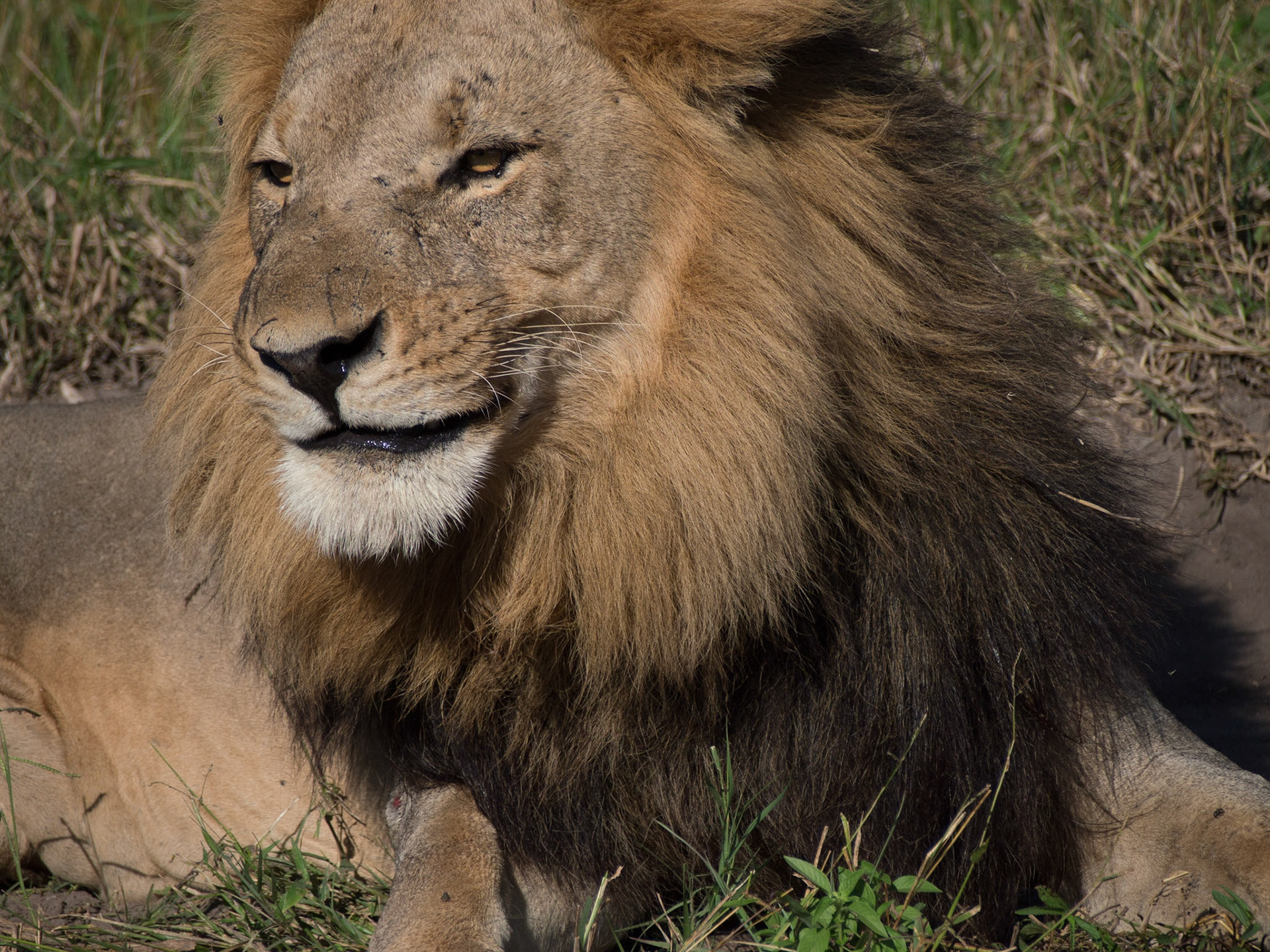 , North West, Botswana [Apr 2014]