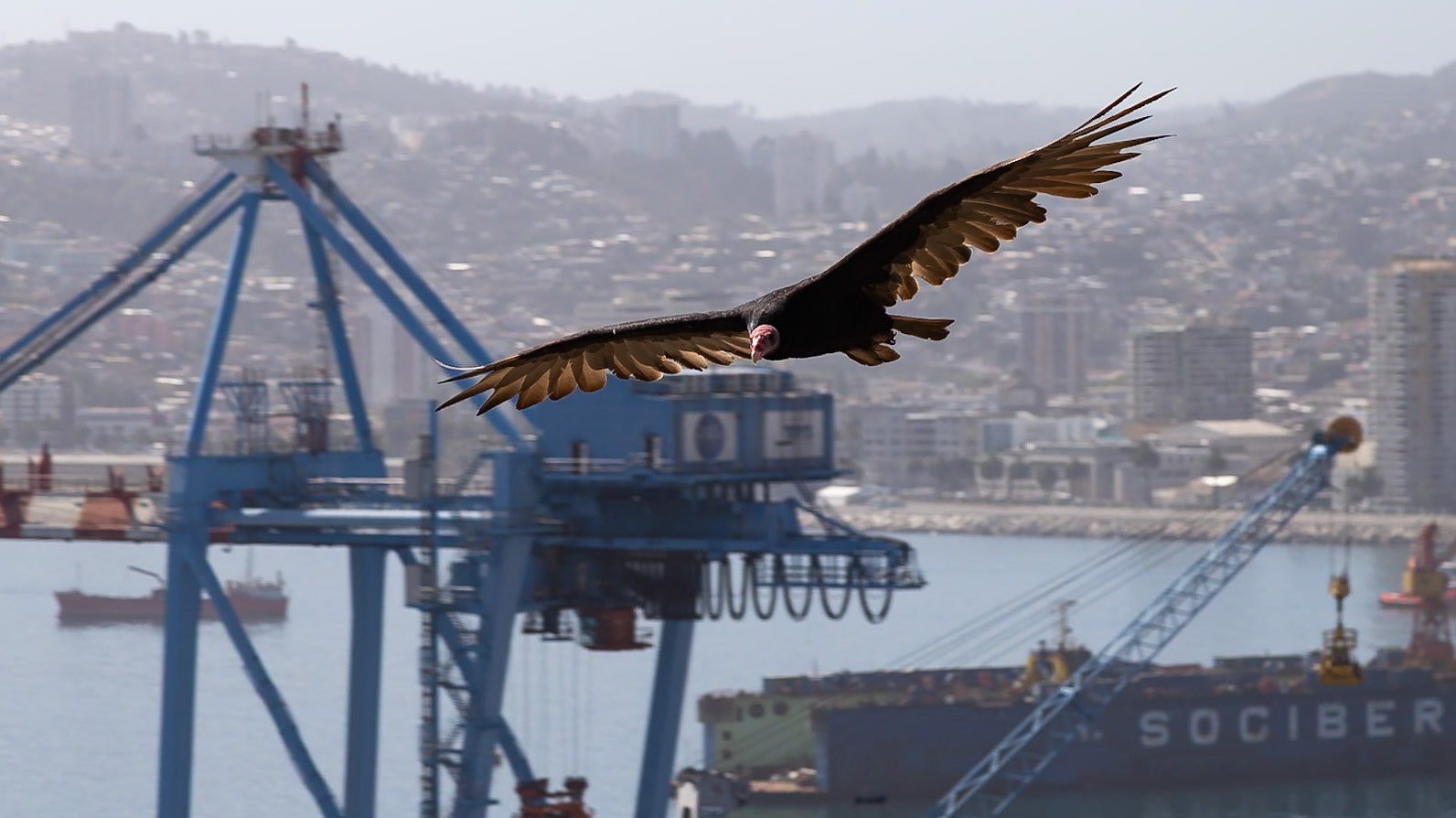 Valparaíso, Valparaíso, Chile [Jan 2024]