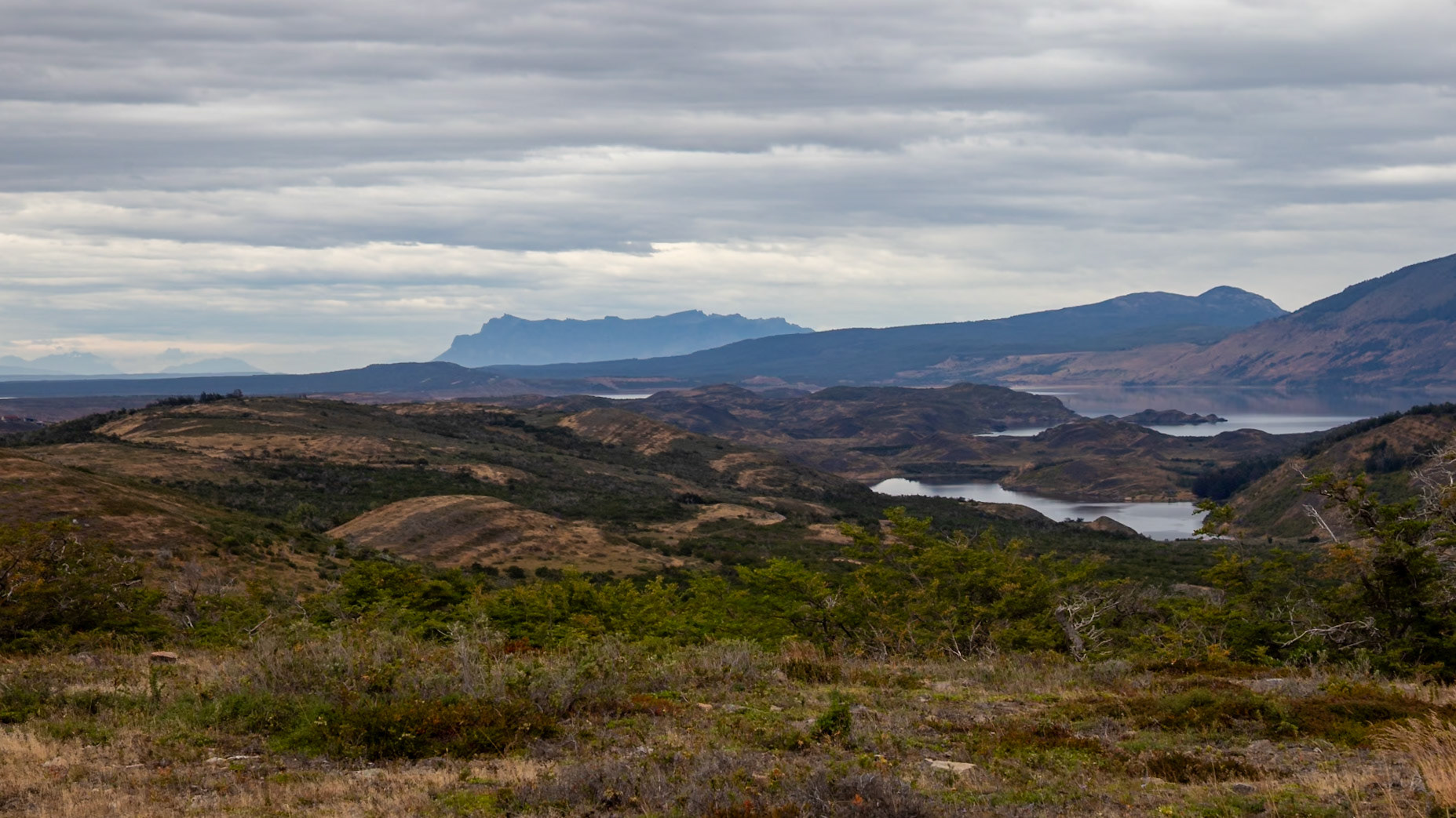 Natales, Magellan and the Chilean Antarctic, Chile [Jan 2024]