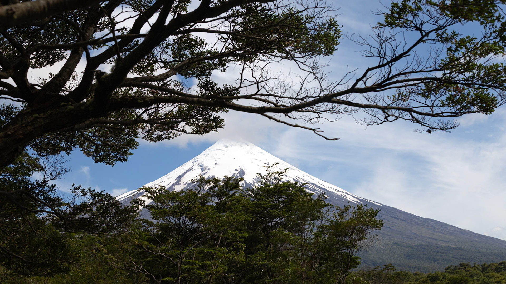 Puerto Varas, Los Lagos, Chile [Jan 2024]
