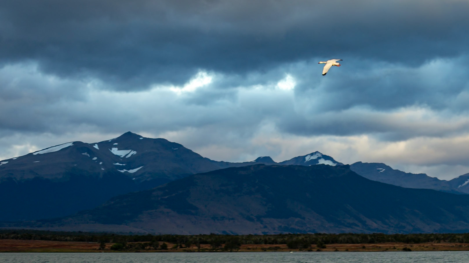 Natales, Magellan and the Chilean Antarctic, Chile [Jan 2024]