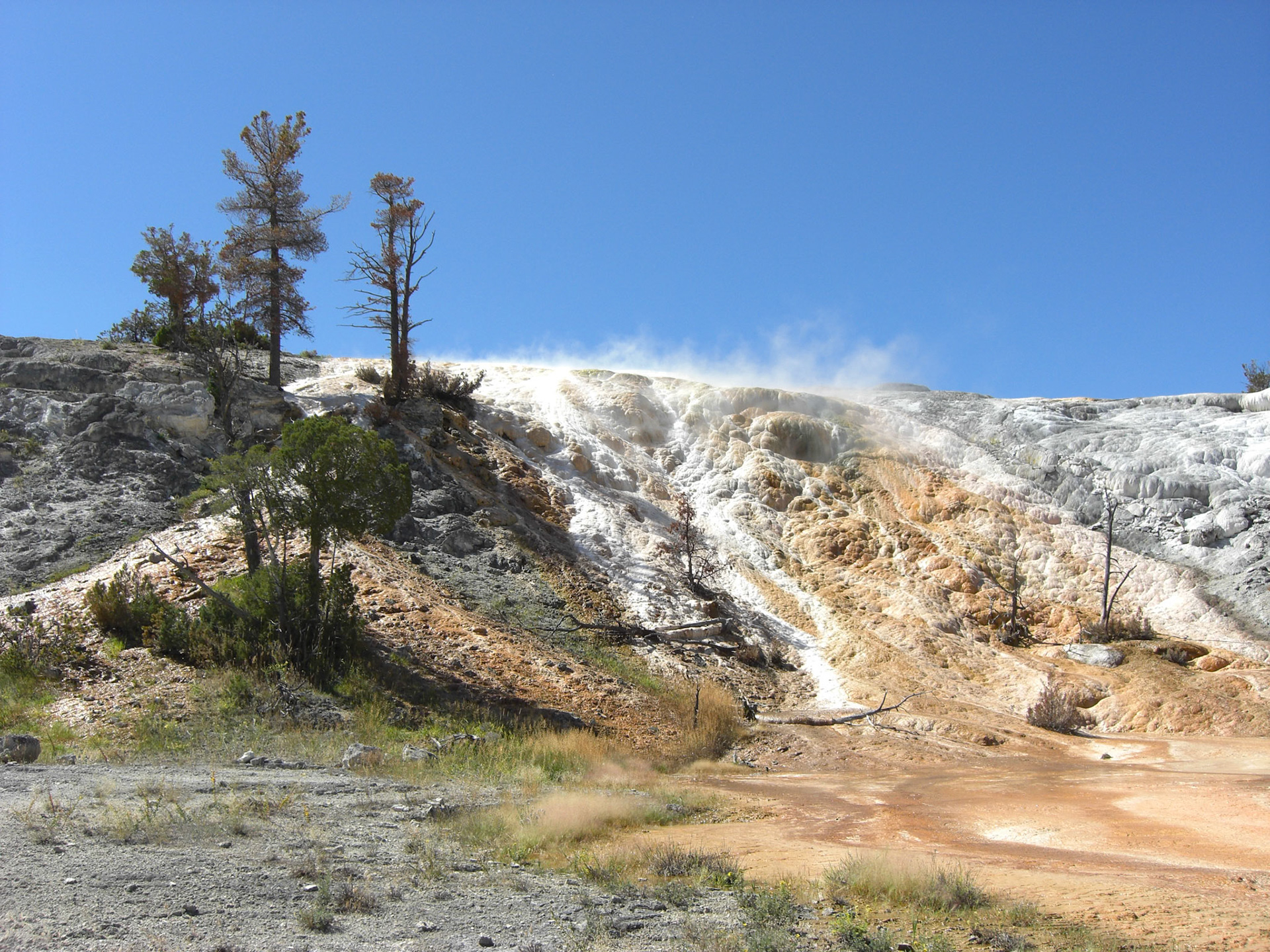 Yellowstone National Park, Wyoming, United States [Aug 2008]