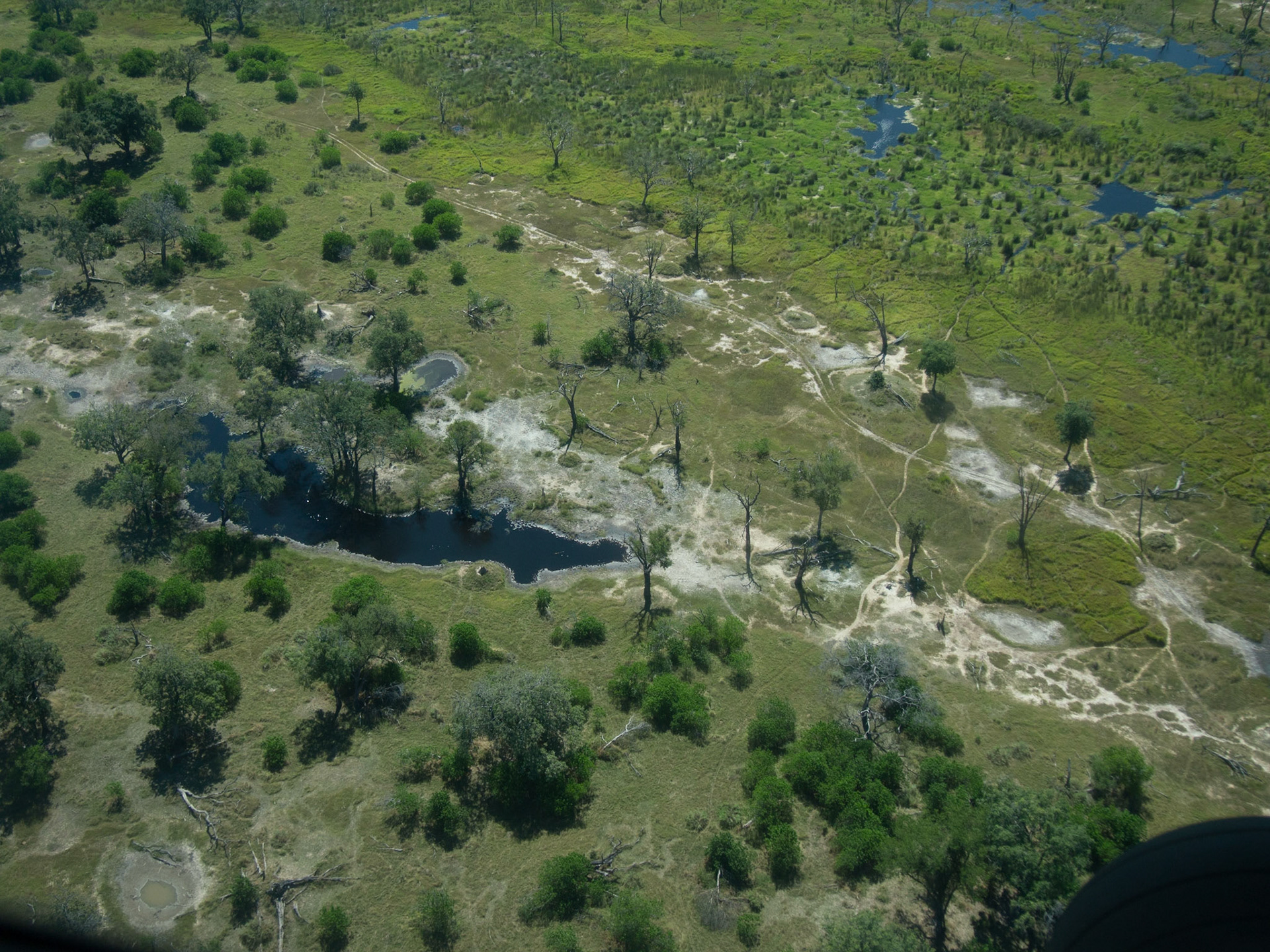 , North West, Botswana [Apr 2014]