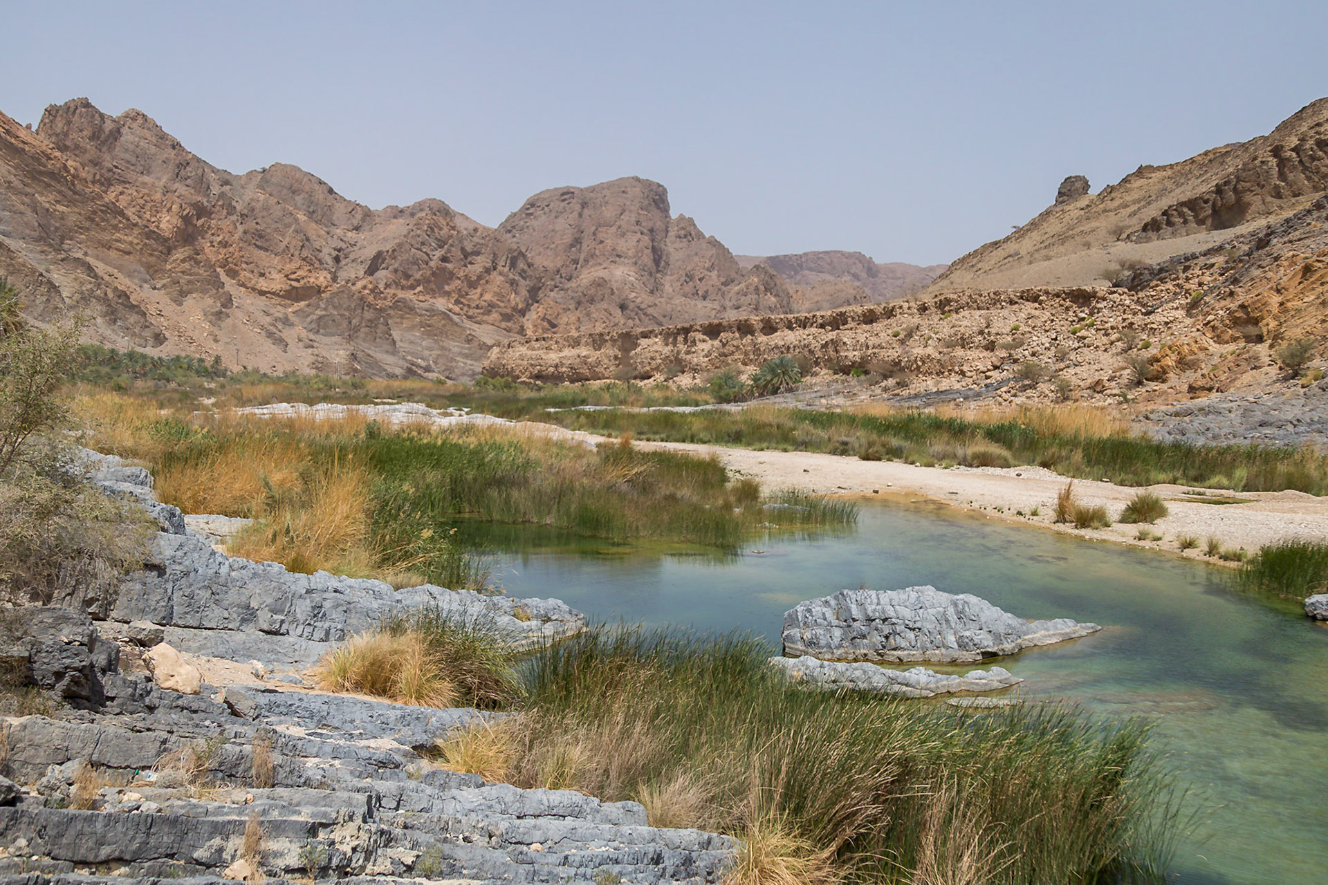 Qurayyat, Muscat Governorate, Oman [Apr 2018]