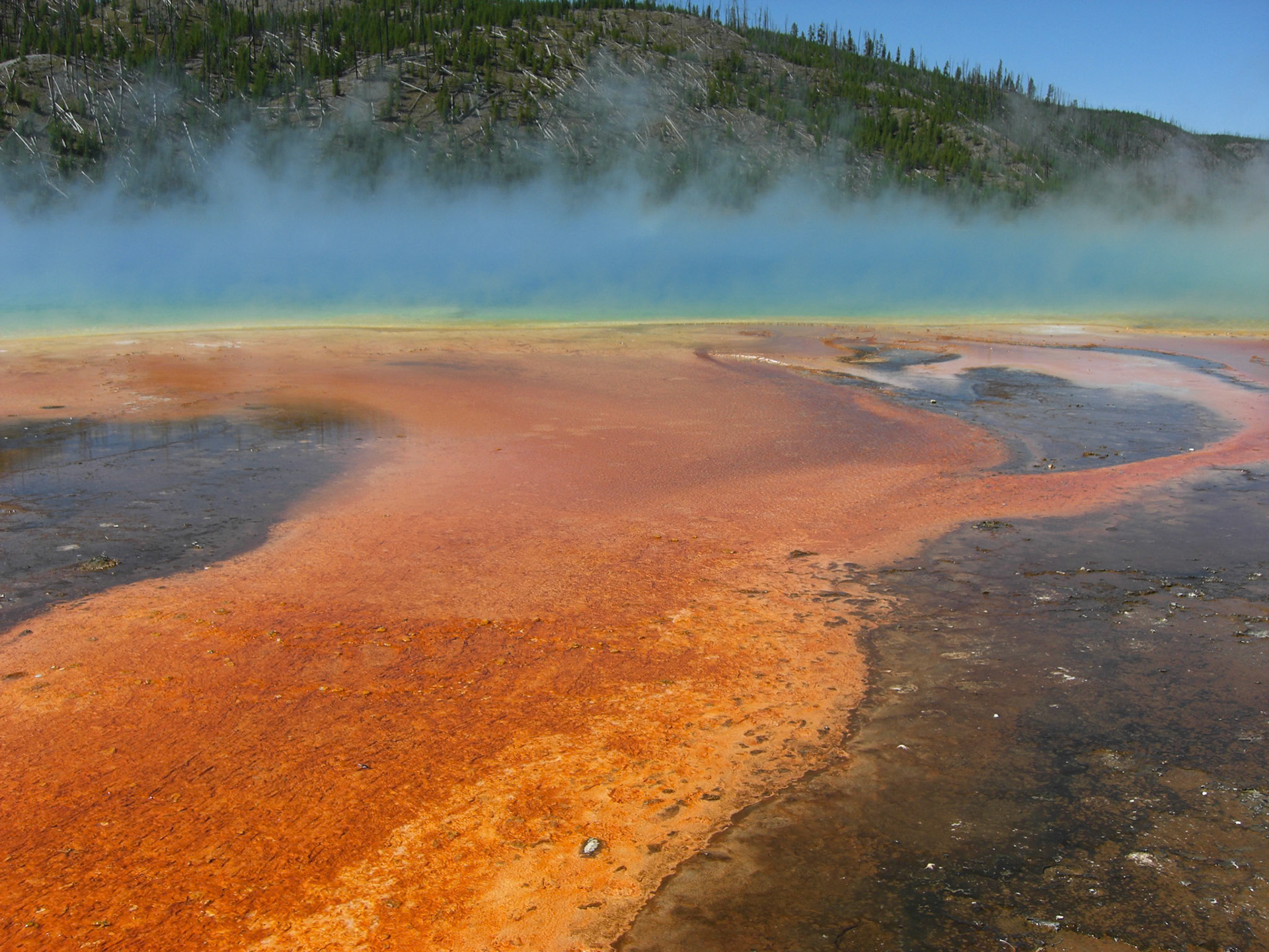 Yellowstone National Park, Wyoming, United States [Aug 2008]