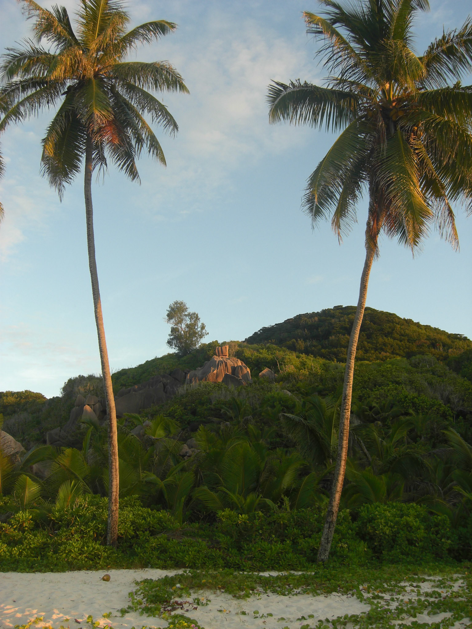 , La Digue and Inner Islands, Seychelles [Apr 2012]