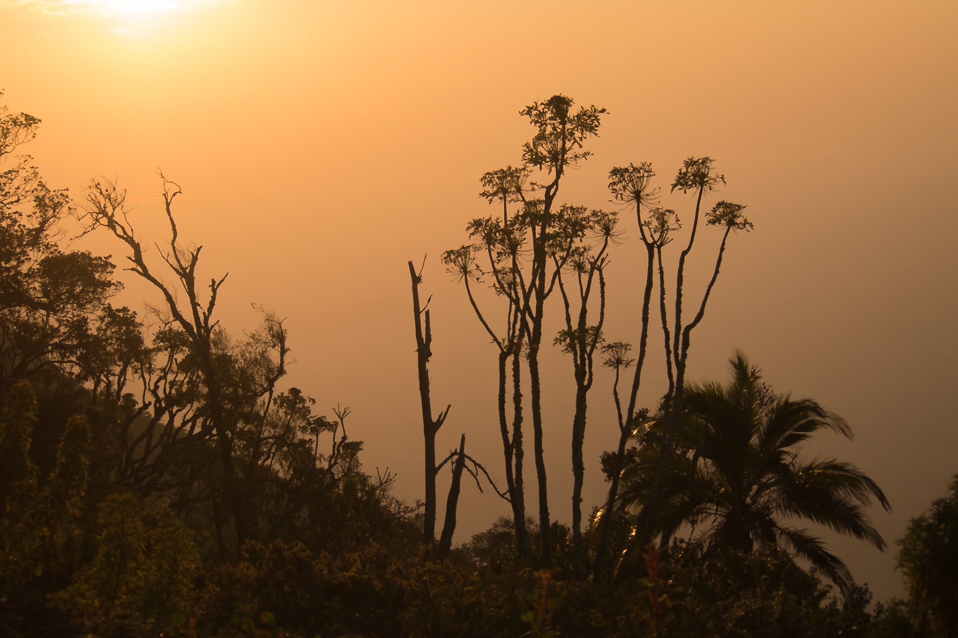 Zomba, Southern Region, Malawi [Aug 2016]