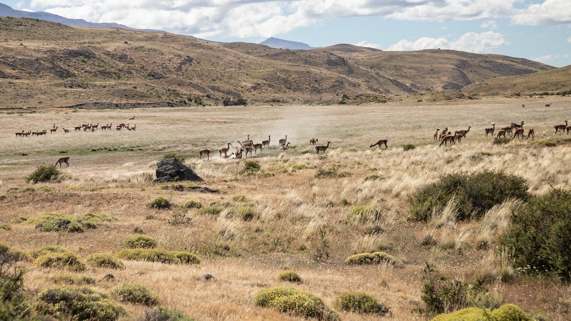 Torres del Paine, Magellan and the Chilean Antarctic, Chile [Feb 2024]