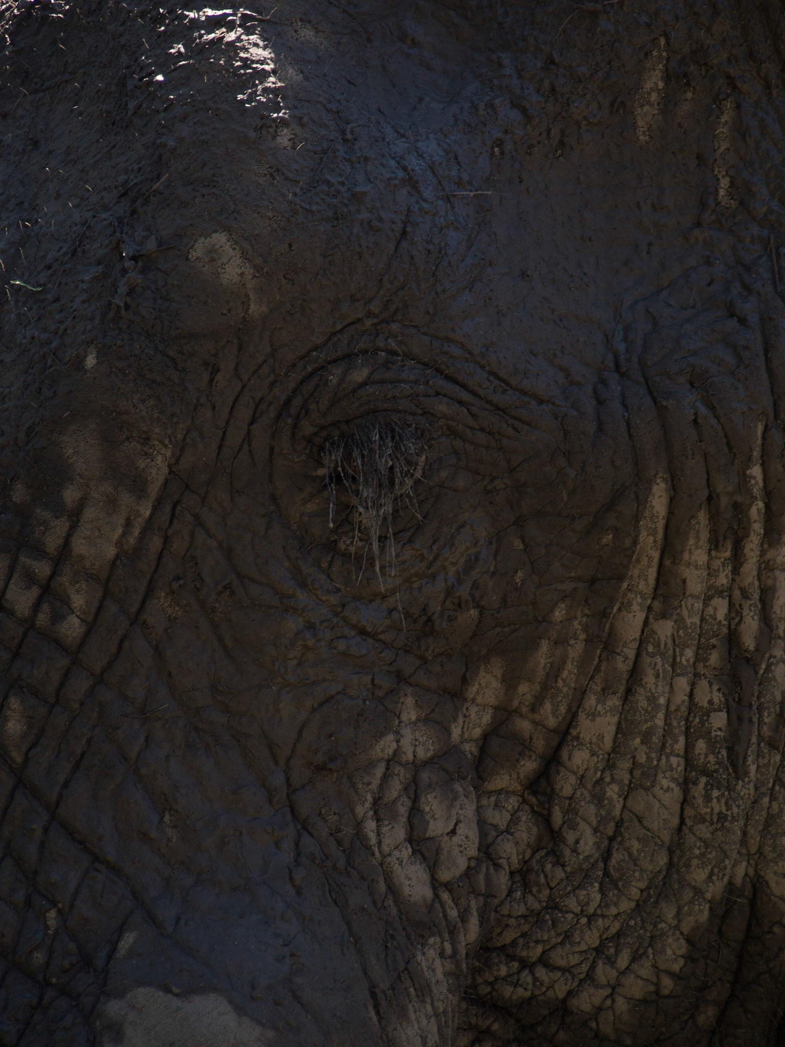 , North West, Botswana [Apr 2014]