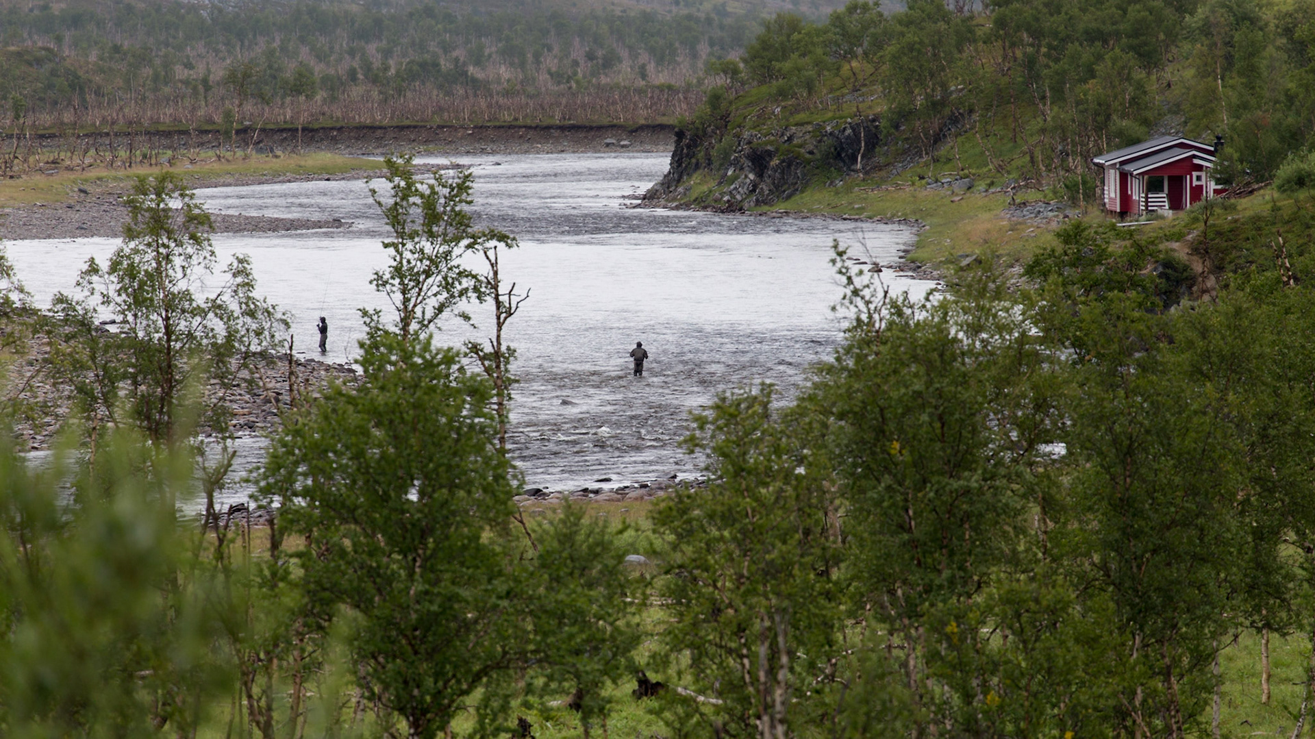 Kvalsund, Troms, Norway [Aug 2022]