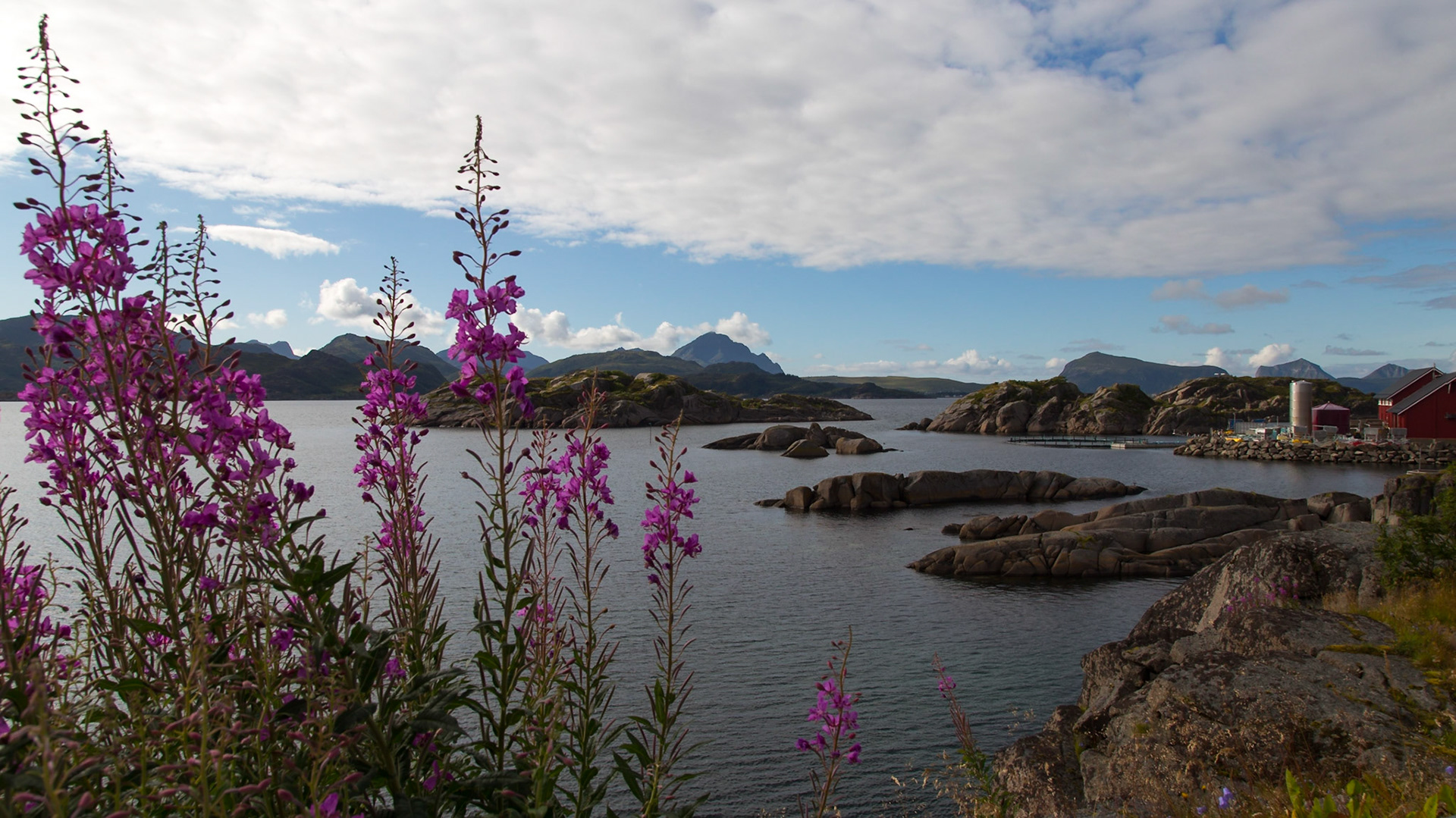 Leknes, Nordland, Norway [Aug 2022]