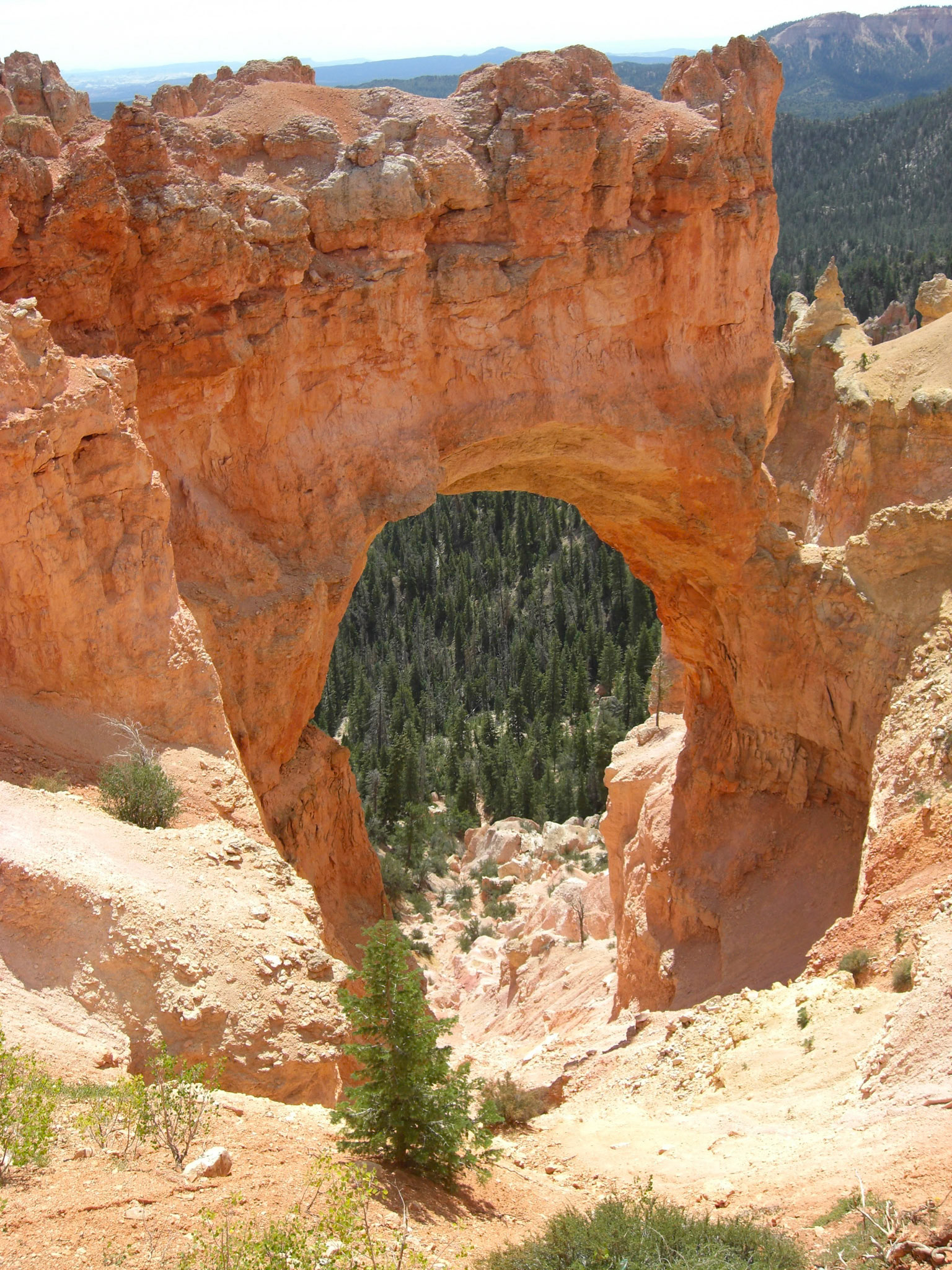 Tropic, Utah, United States [Aug 2008]
