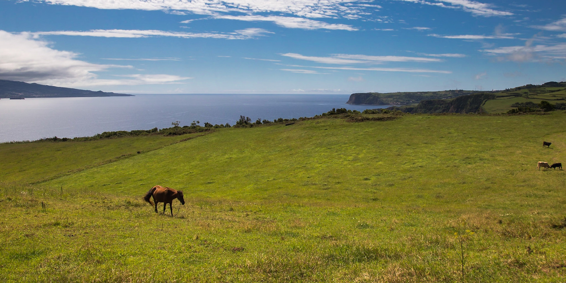 Ribeirinha, Azores, Portugal [Aug 2019]