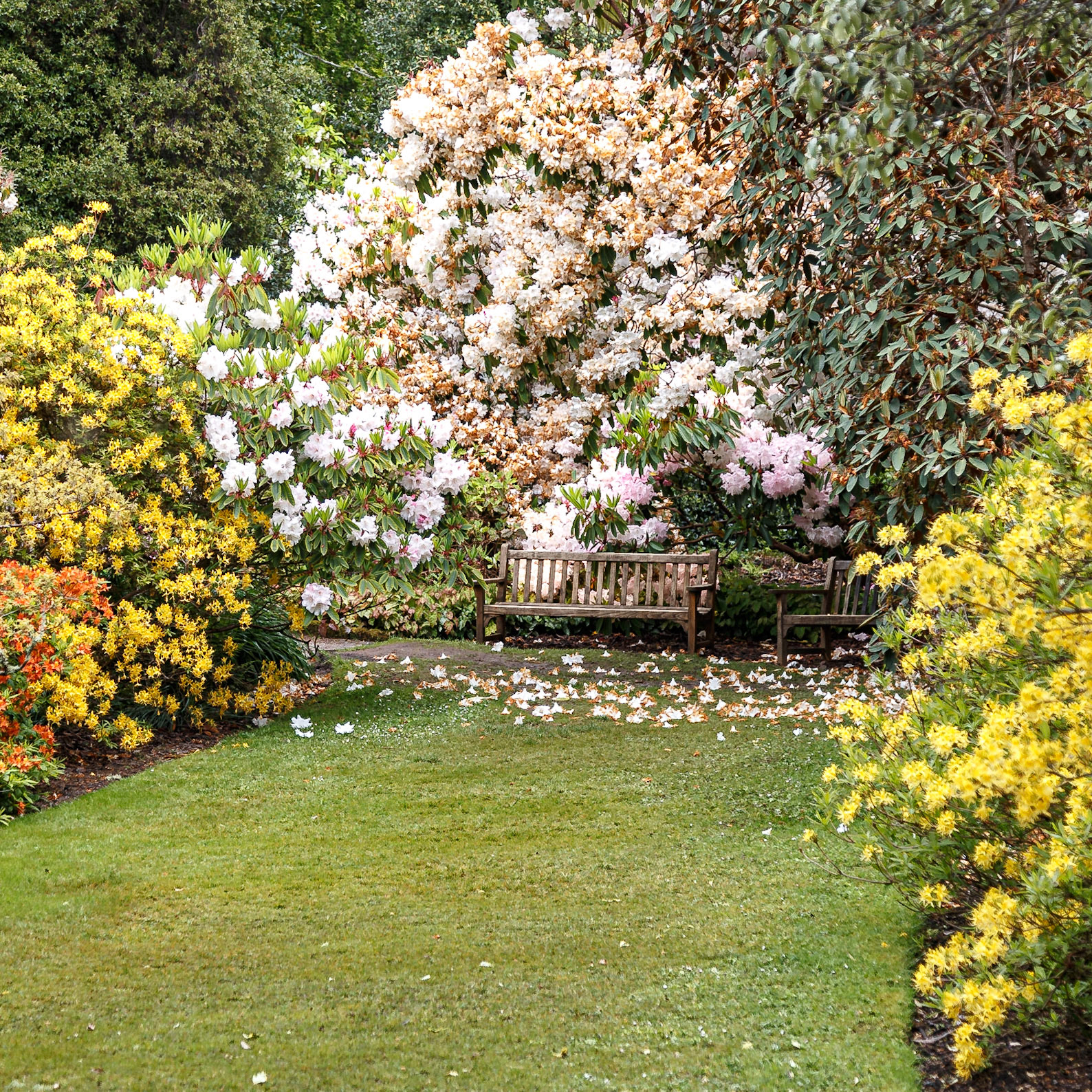 Achnasheen, Scotland, United Kingdom [May 2026]