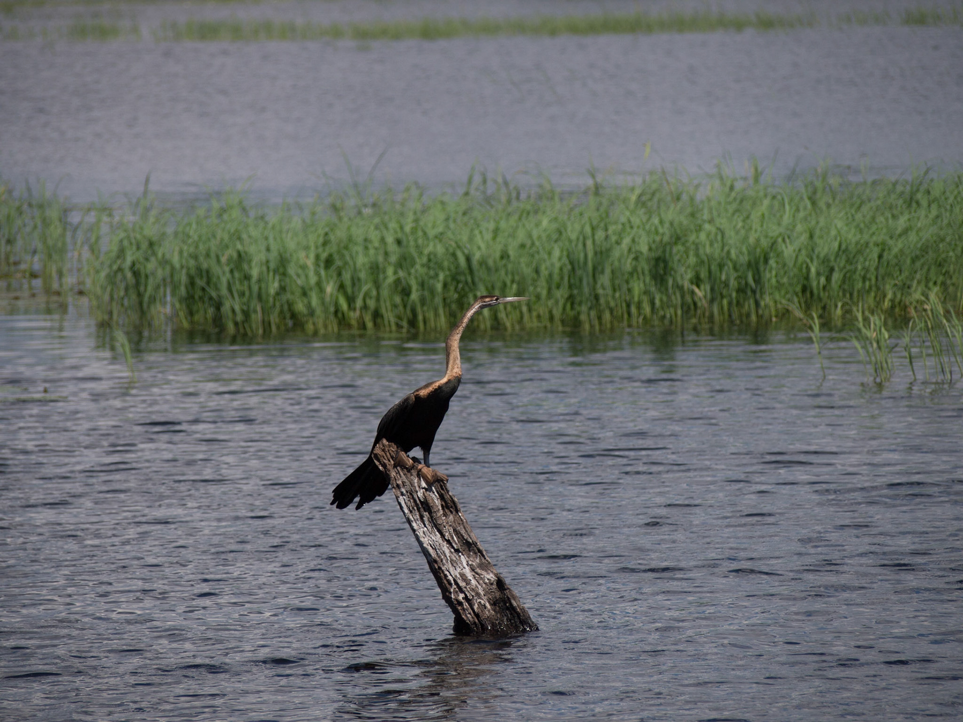 , North West, Botswana [Apr 2014]