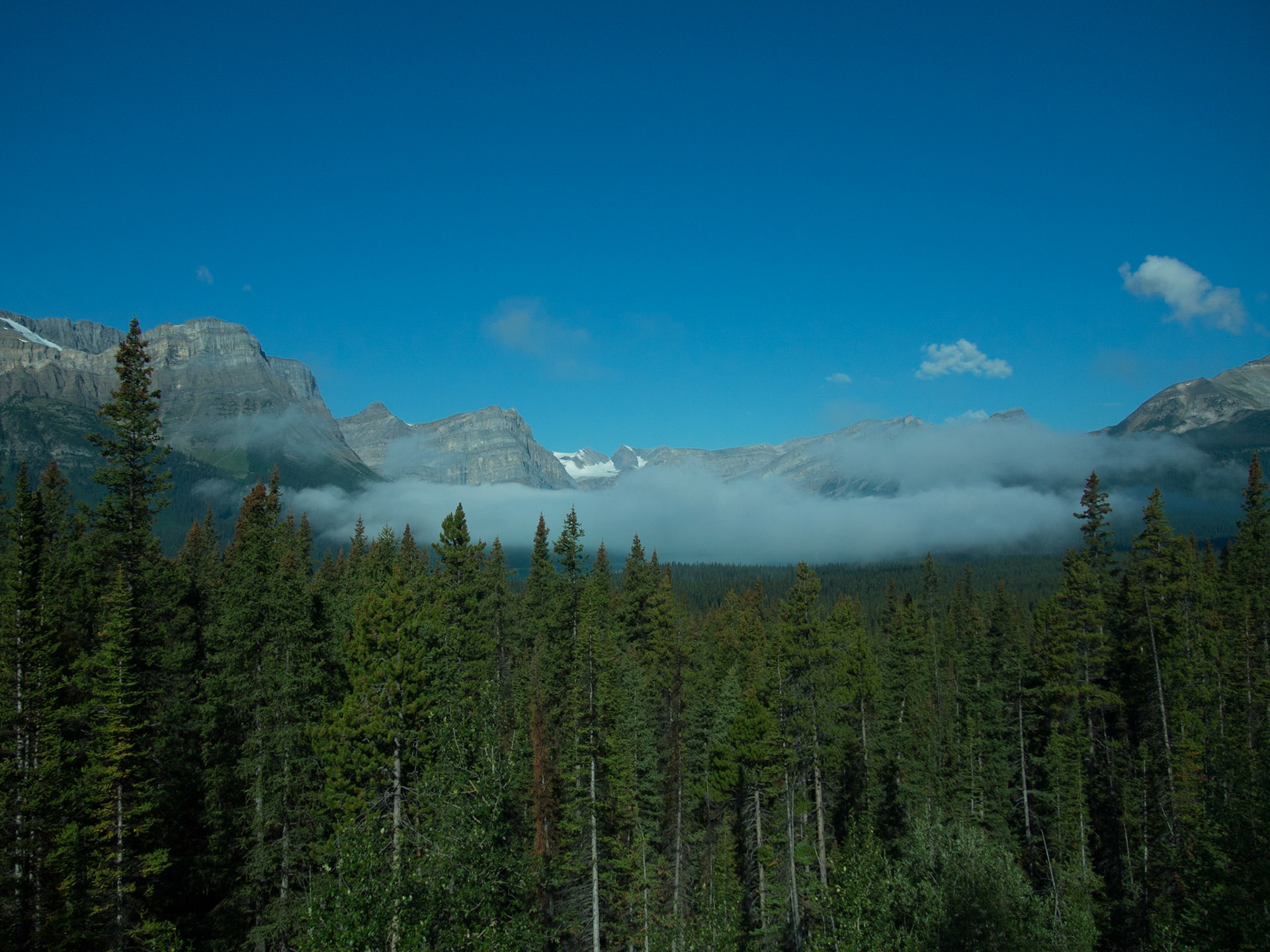 , Alberta, Canada [Aug 2014]