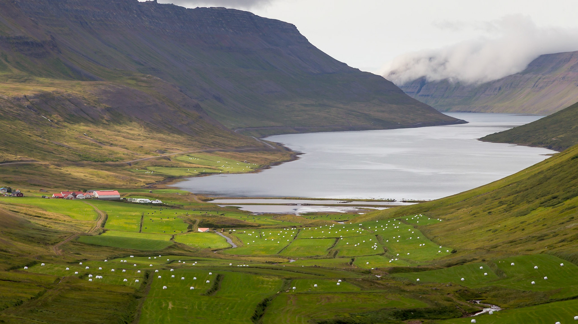 Skáli Hallvaros Súganda, West Fjoerds, iceland [Aug 2018]