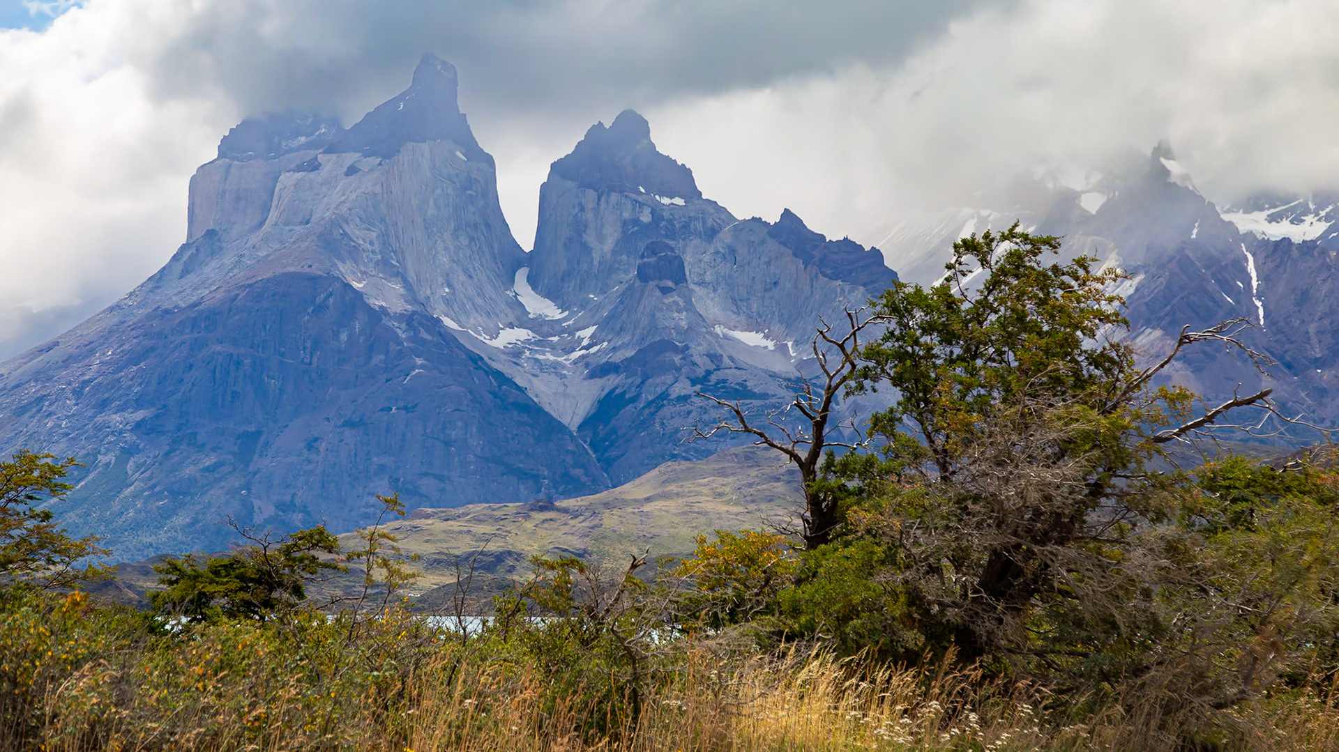 Torres del Paine, Magellan and the Chilean Antarctic, Chile [Jan 2024]