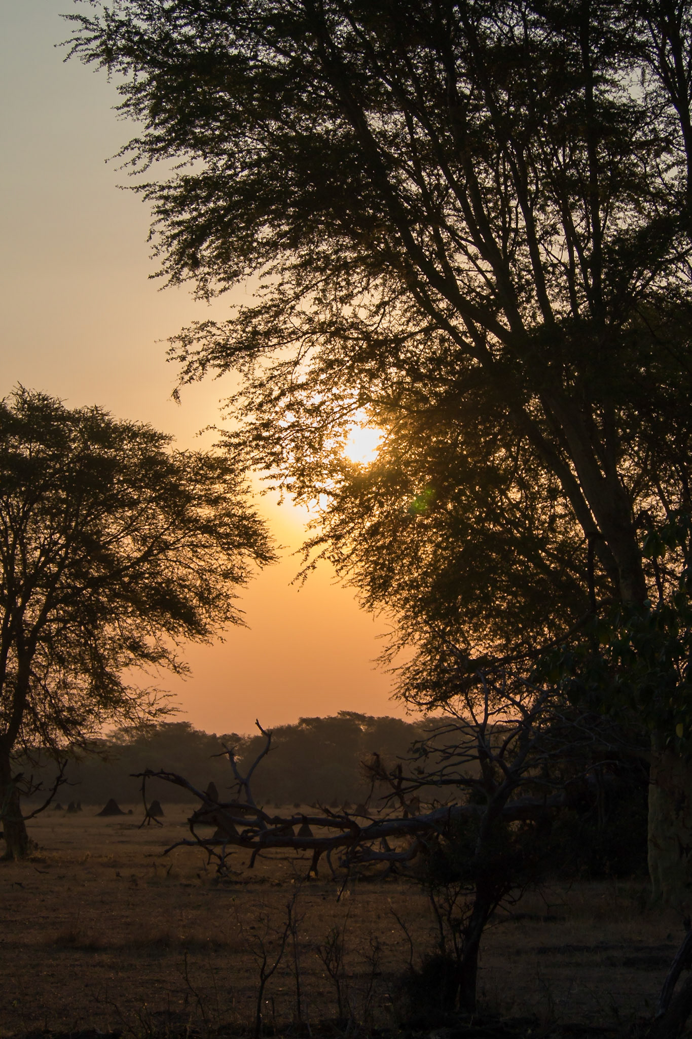 Liwonde, Southern Region, Malawi [Aug 2016]
