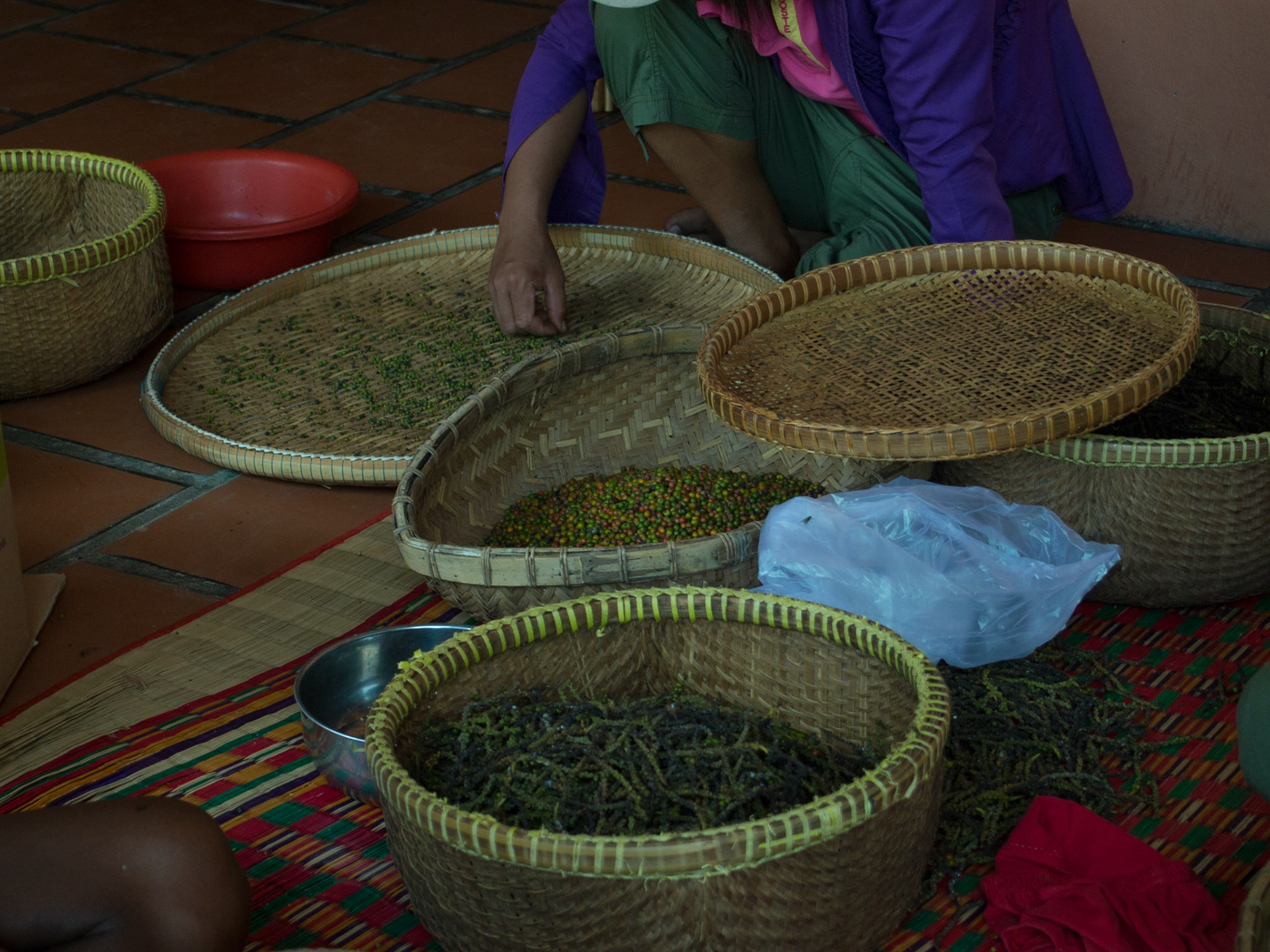 Sothys Pepper Farm, Krong Kaeb, Cambodia [Mar 2015]