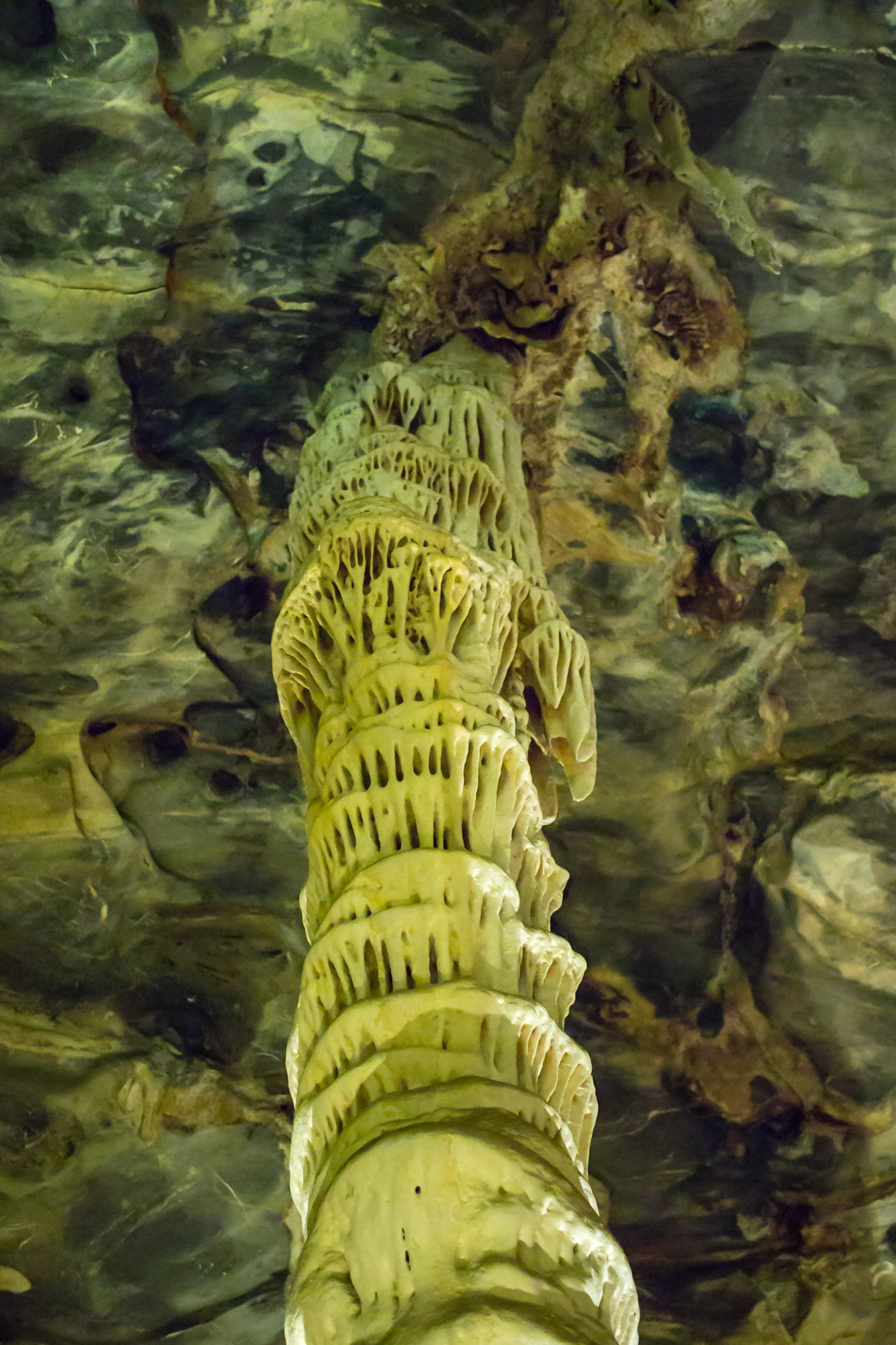 Cango Caves, Oudtshoorn, Western Cape, South Africa [Mar 2016]