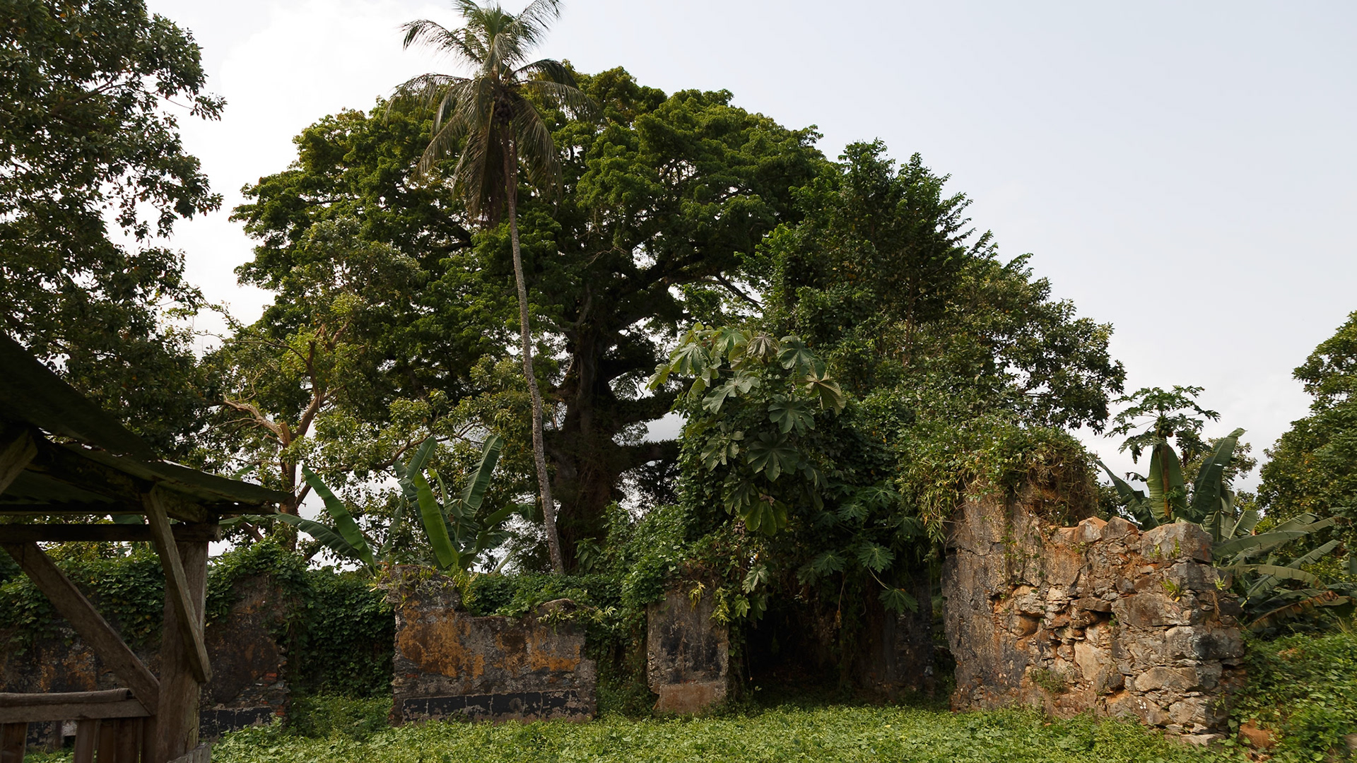 , Pagué, São Tomé and Príncipe [Feb 2026]