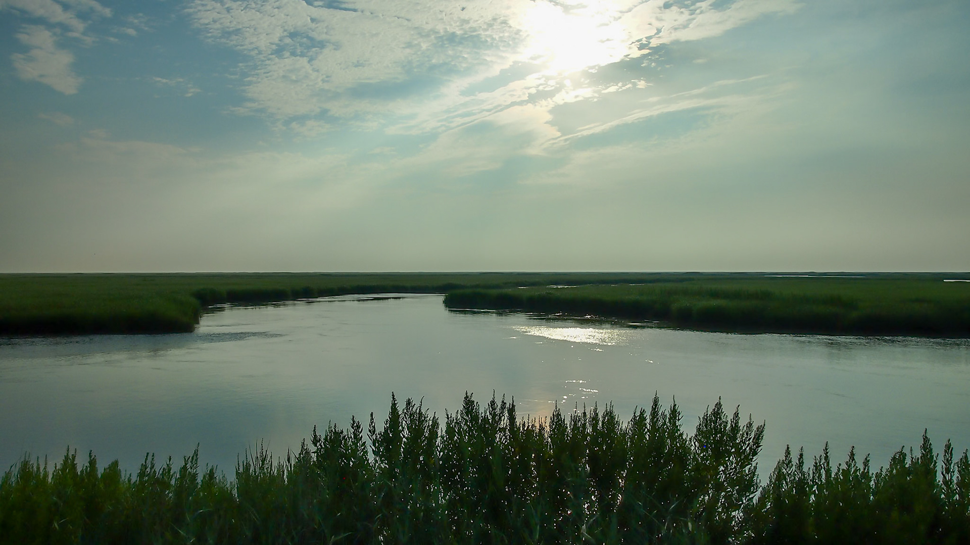 Smyrna, Delaware, United States [Jul 2013]