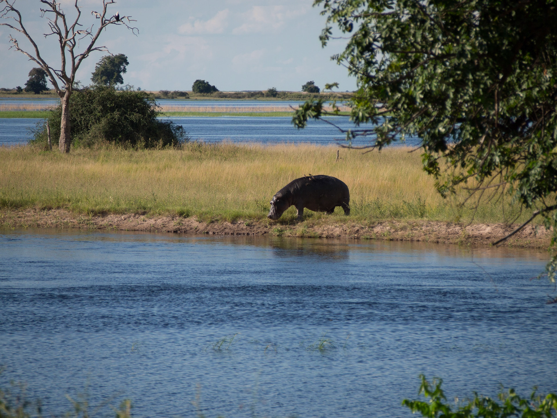 , North West, Botswana [Apr 2014]