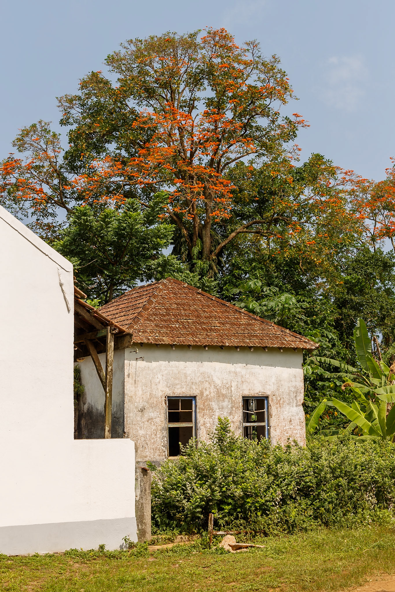 Sundy (Sede), Pagué, São Tomé and Príncipe [Feb 2026]