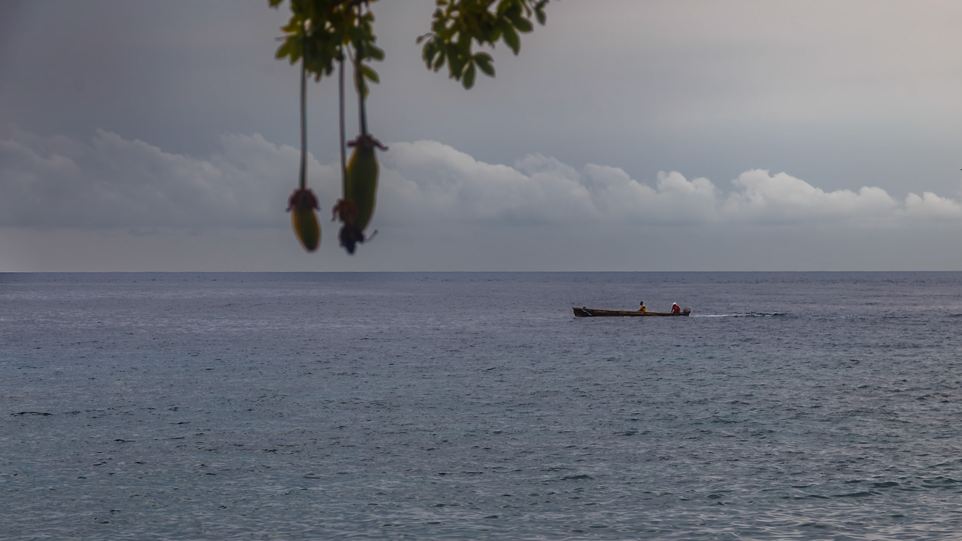 , Lobata, São Tomé and Príncipe [Jan 2026]