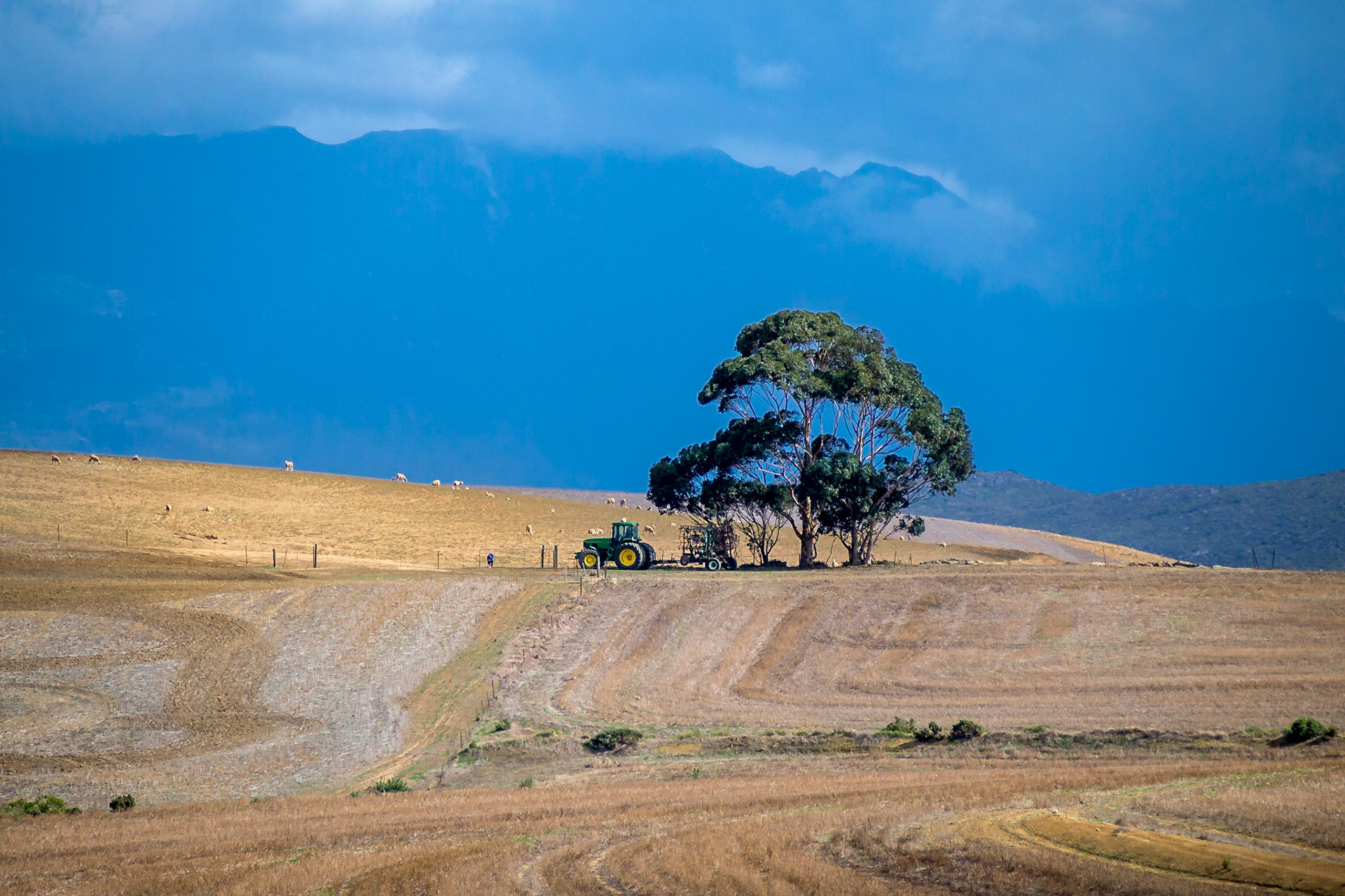 Theewaterskloof, Western Cape, South Africa [Mar 2016]