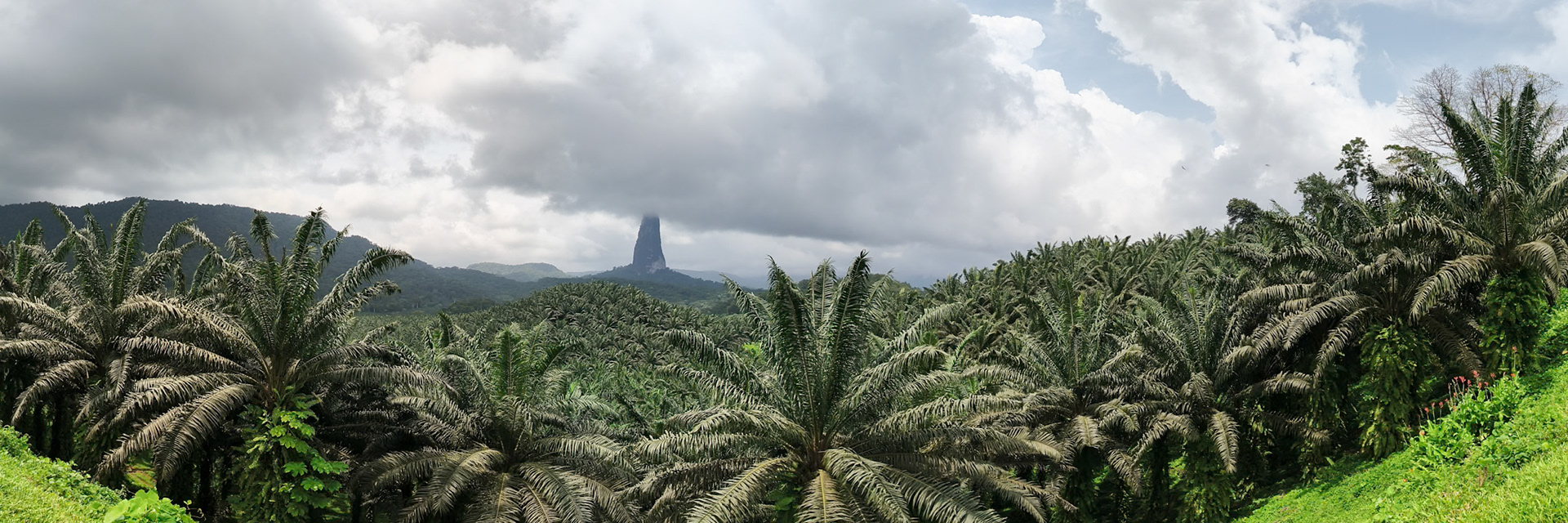 , Caué, São Tomé and Príncipe [Jan 2026]