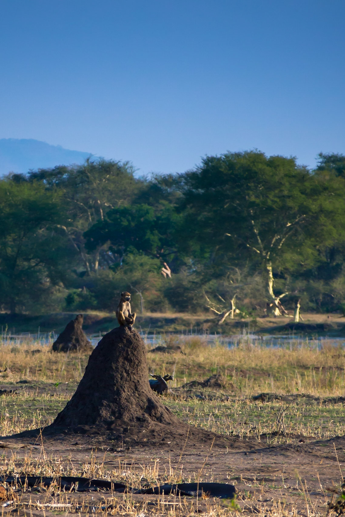 Liwonde, Southern Region, Malawi [Aug 2016]
